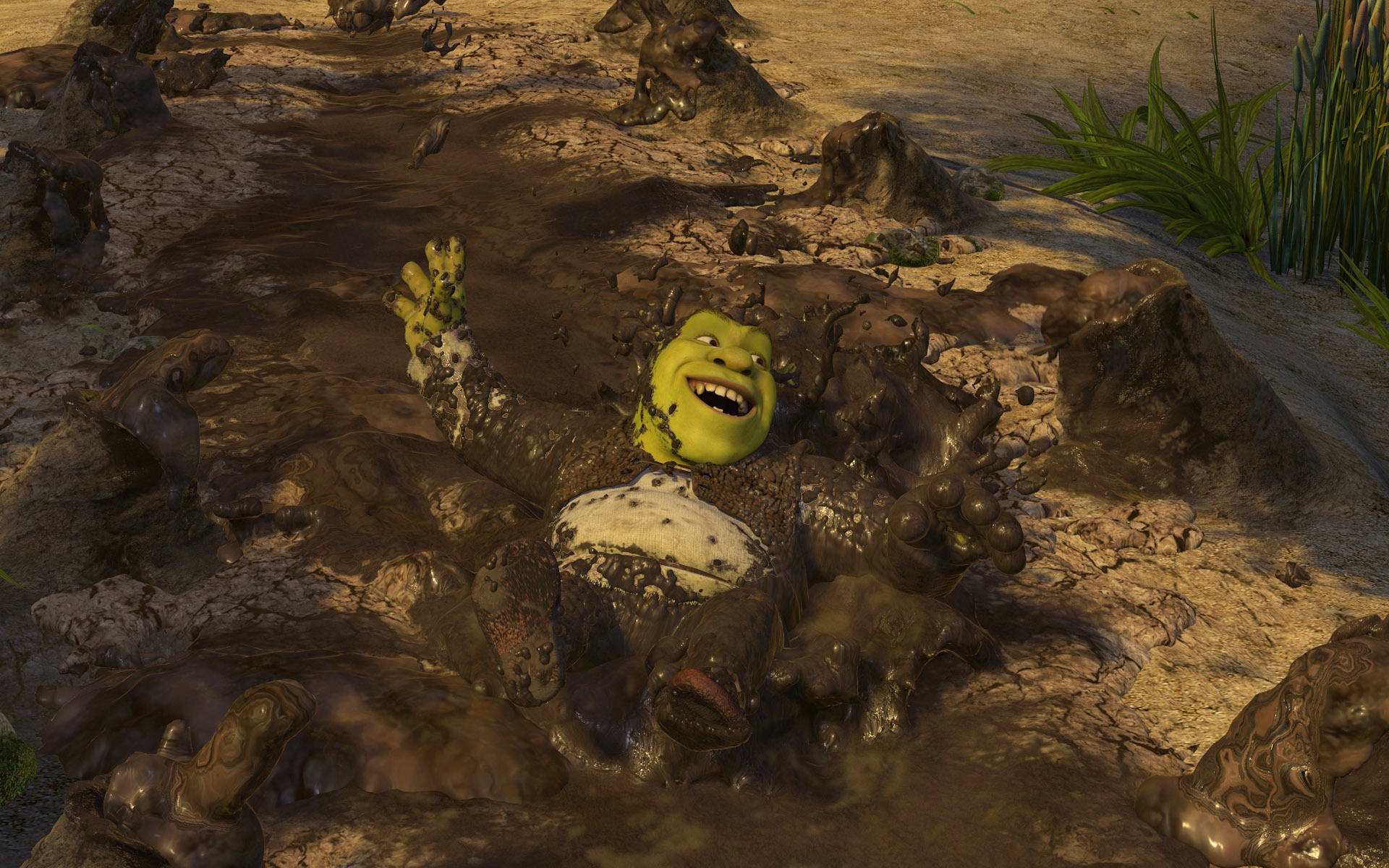 Shrek, muddy, 4K, Full HD Desktop Wallpaper