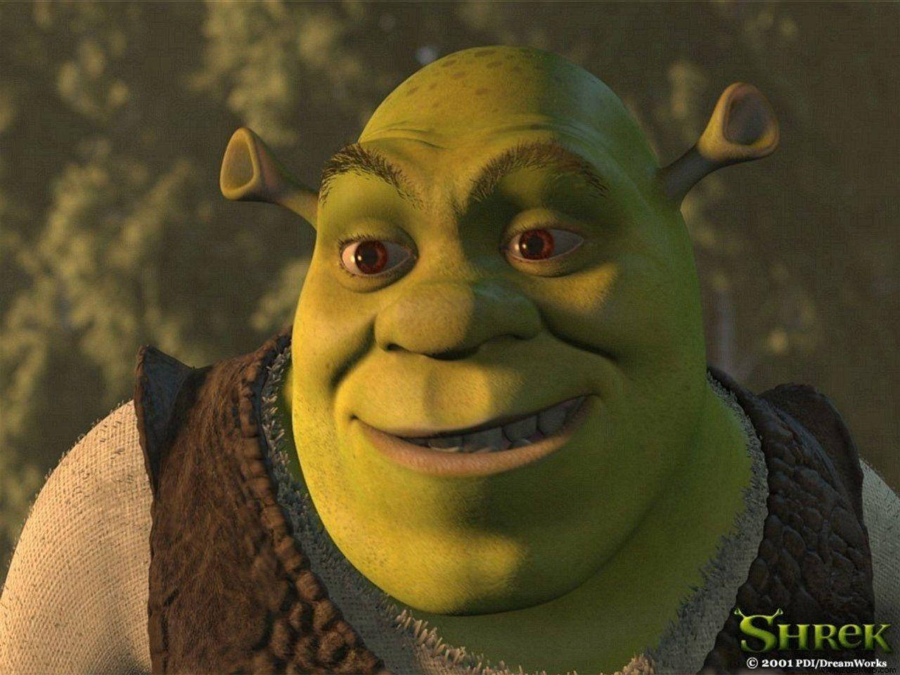 Shrek, green skin, pointed ears, HD Desktop Wallpaper