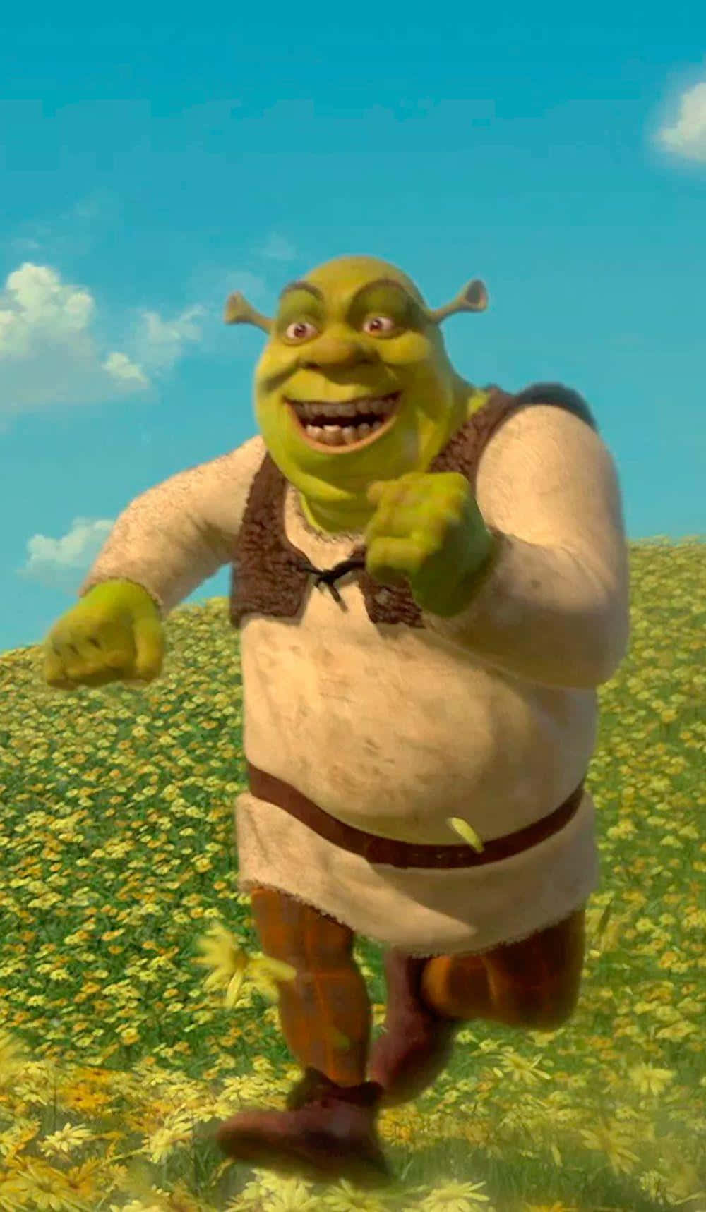 Shrek, flower field, yellow flowers, HD Phone Wallpaper
