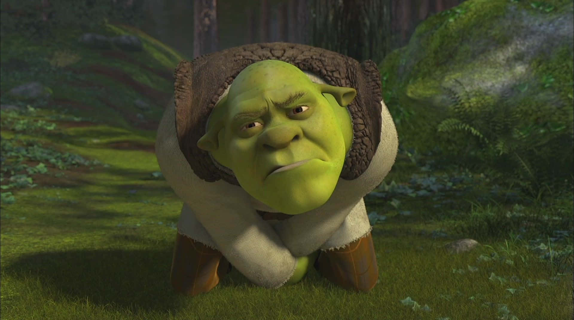 Shrek, ogre, mossy forest, Full HD Desktop Wallpaper