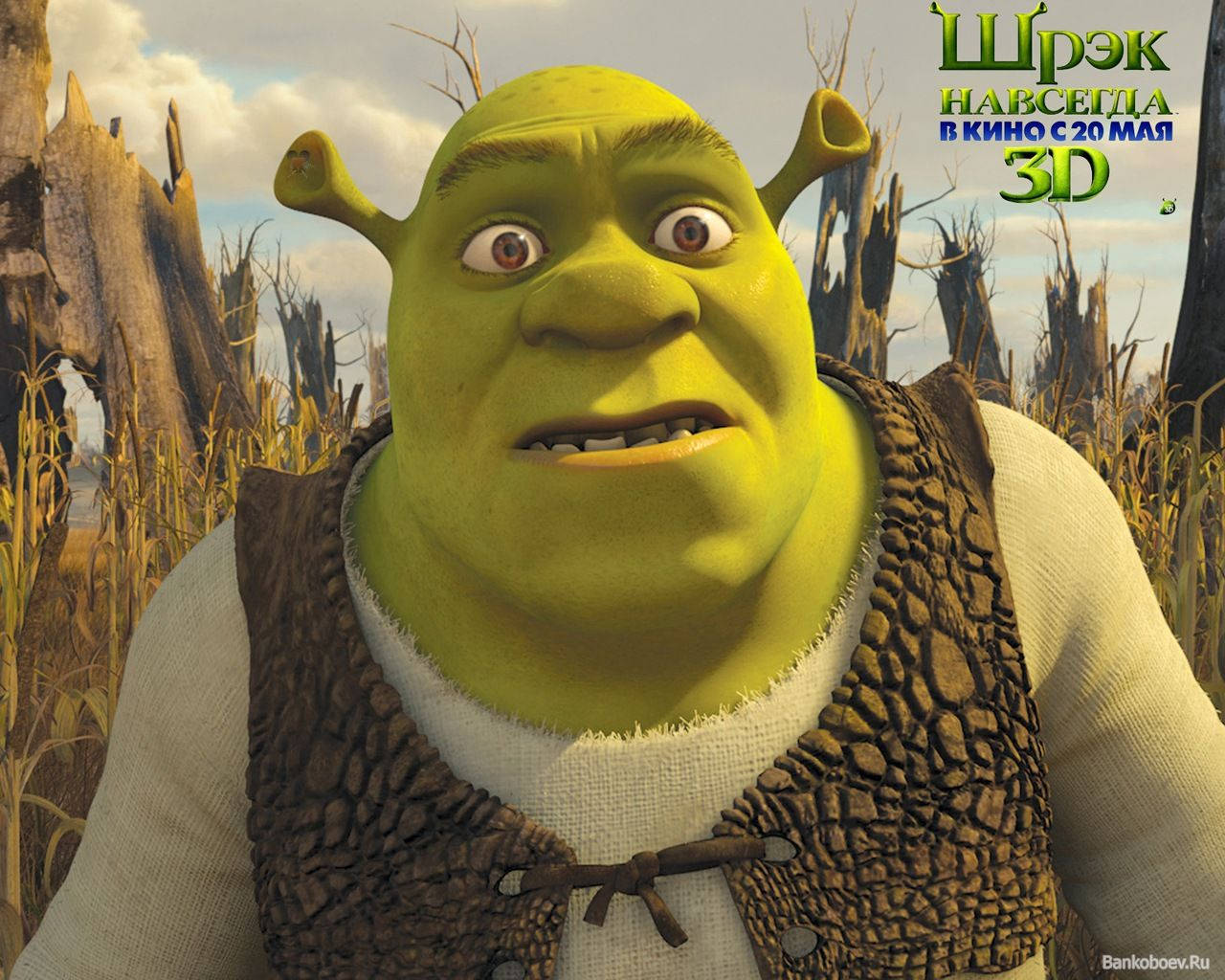 Shrek, close-up, wide eyes, HD Desktop Wallpaper