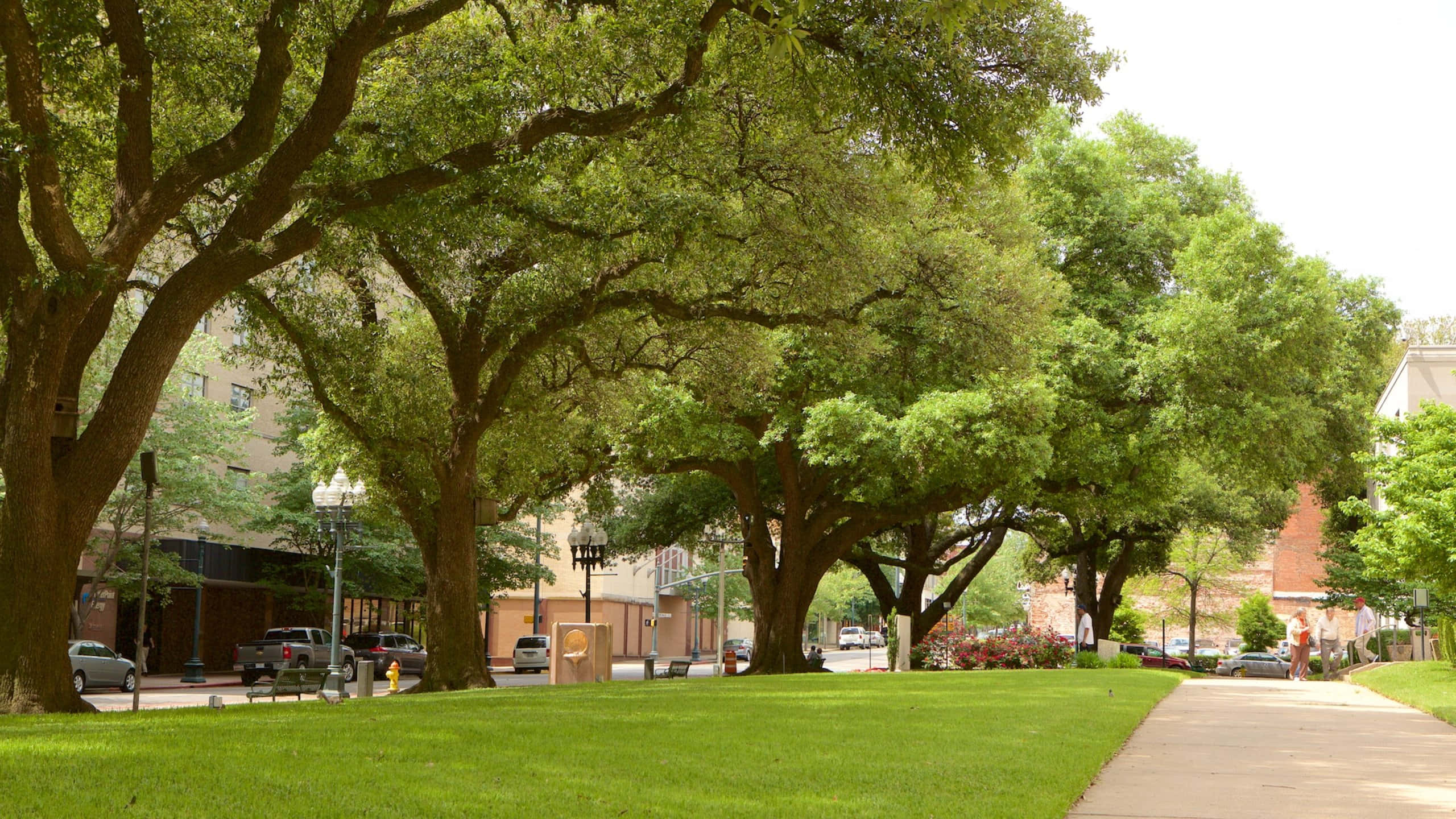 Shreveport, downtown, greenery, 2K Desktop Wallpaper