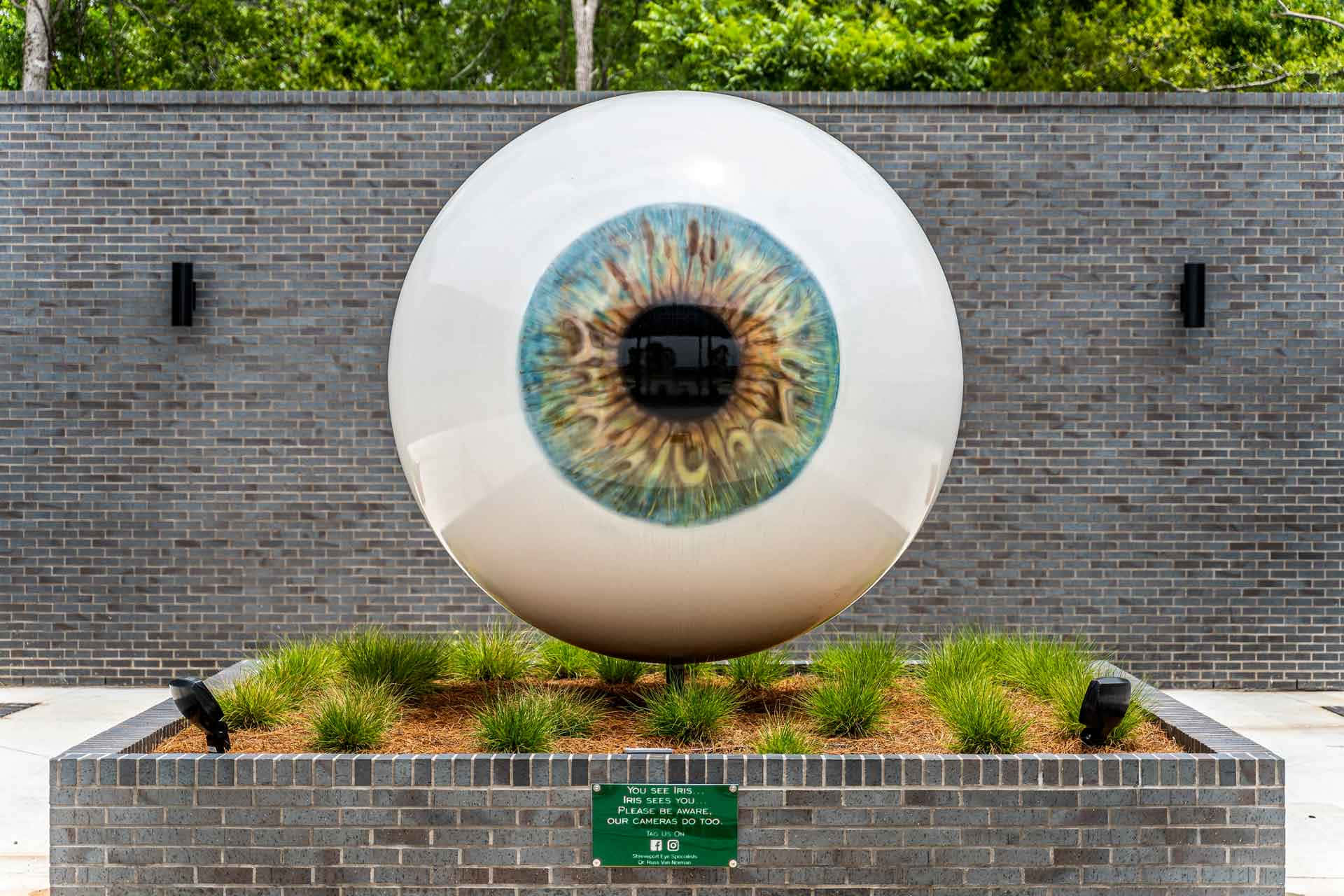 giant eye sculpture, Shreveport, blue iris, Full HD Desktop Wallpaper