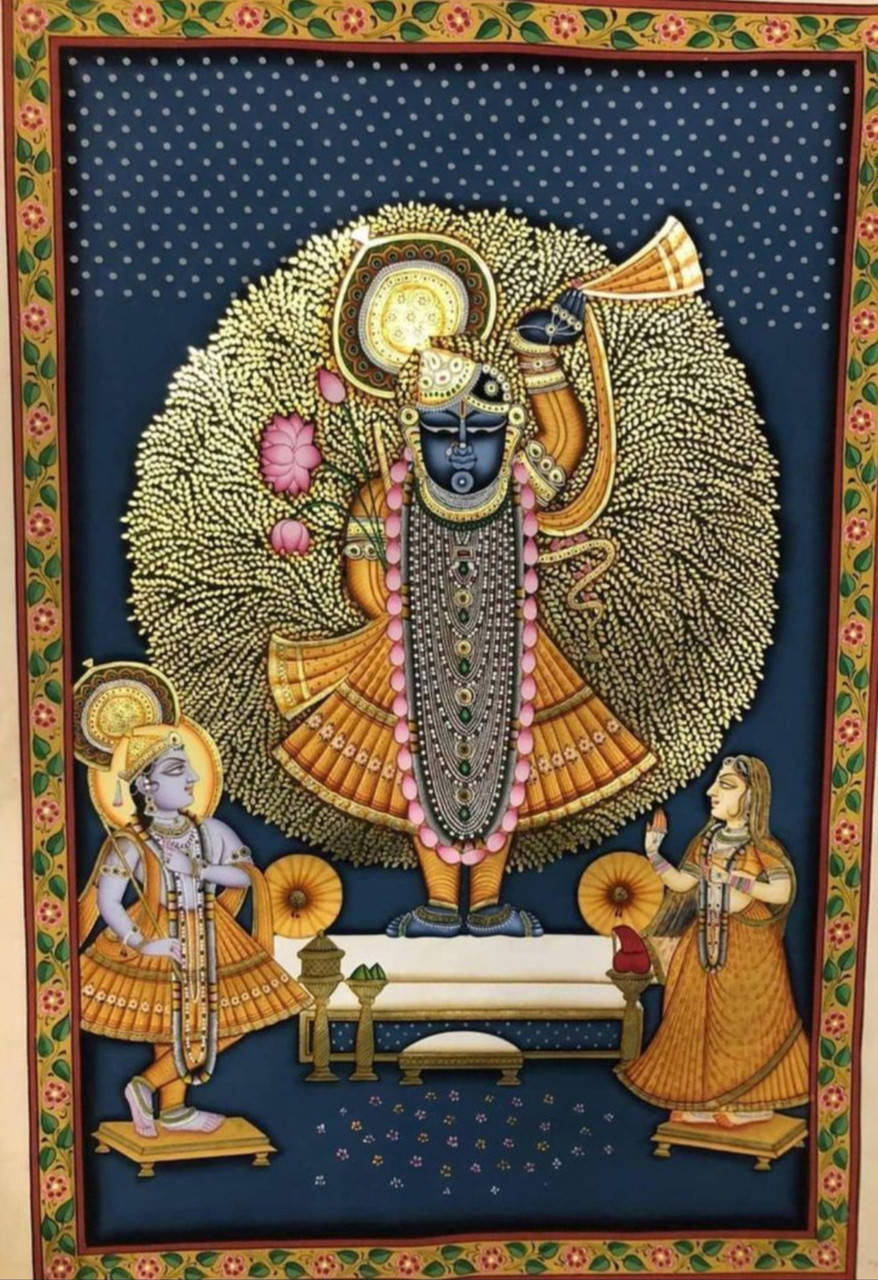 Shrinathji, mor pankh dress, blue-skinned deity, HD Phone Wallpaper