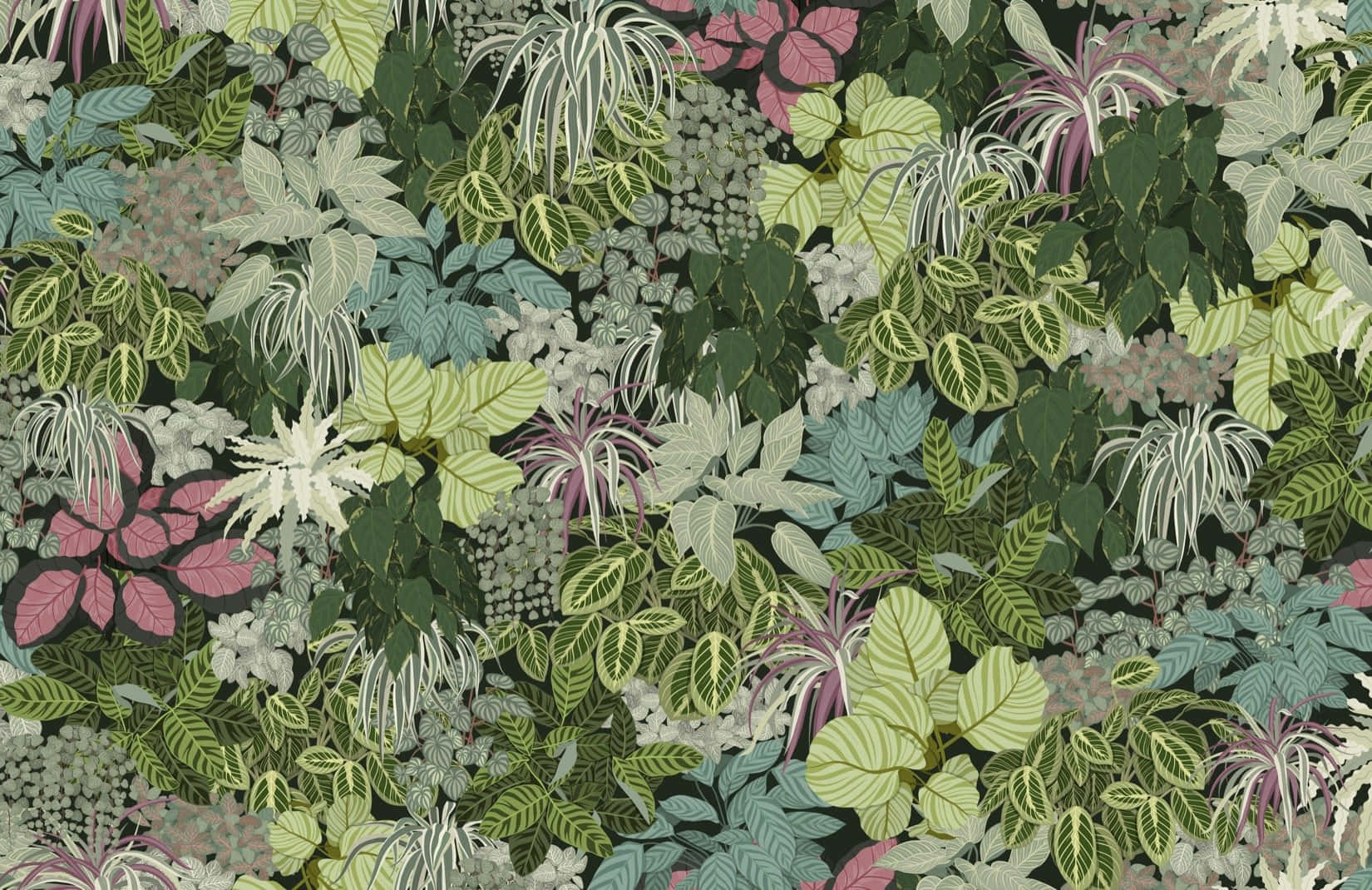 Various Leaves Of Shrubs, muted greens, purples, HD Desktop Wallpaper