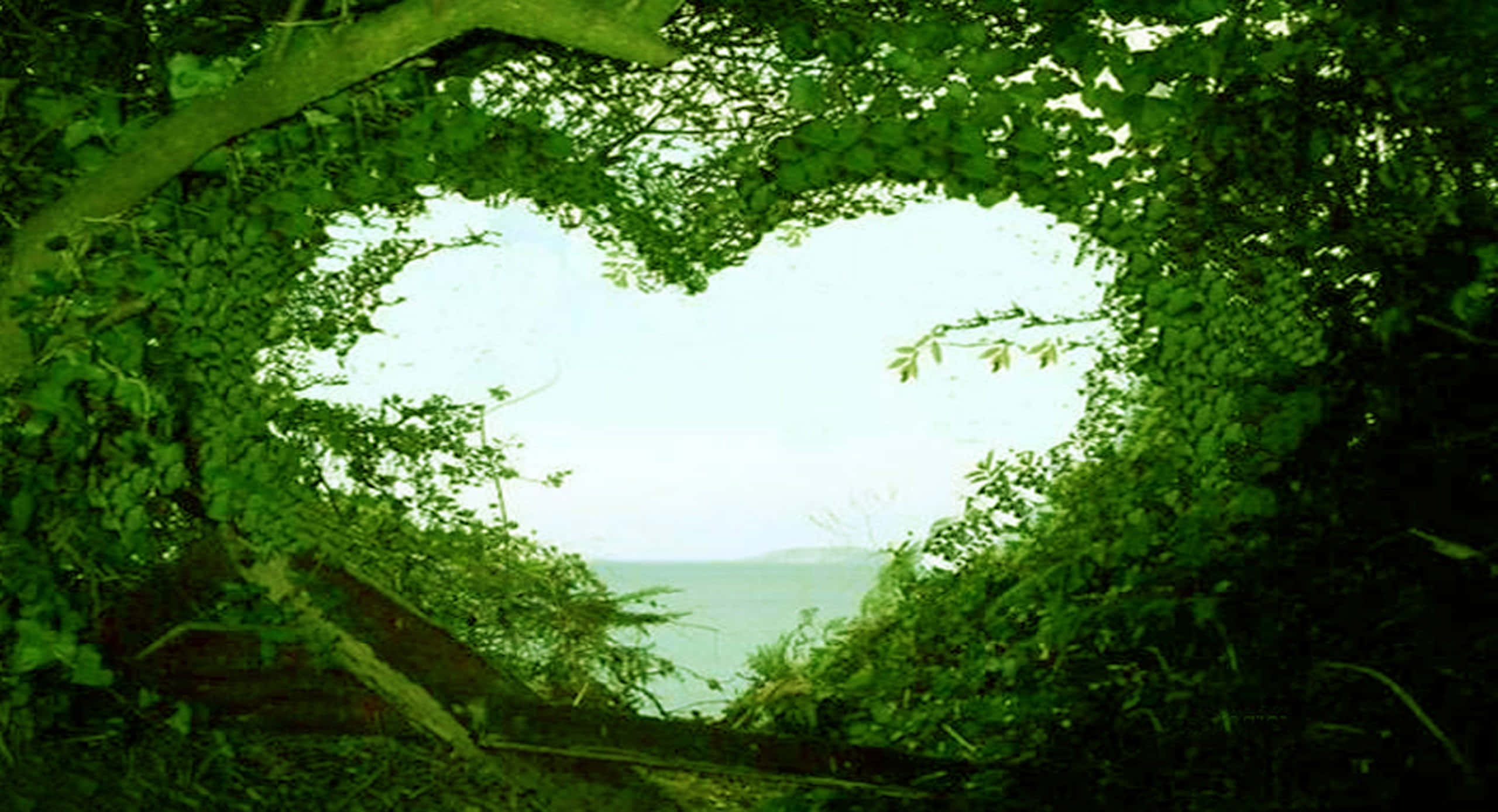 Complimentary Heart, heart-shaped frame, lush green foliage, 2K Desktop Wallpaper