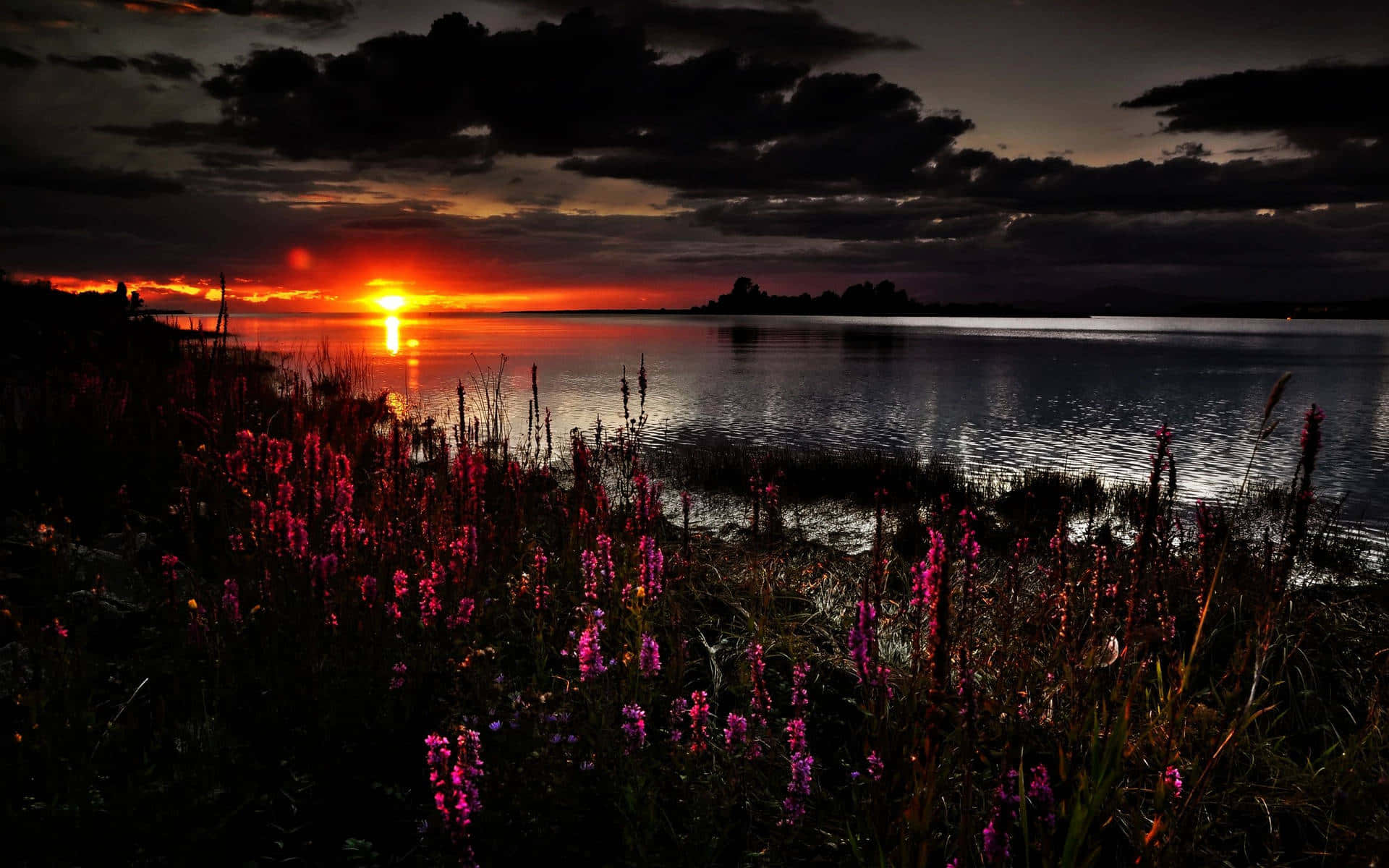 Dark Spring Sunset Riverbank Shrubs, fiery sunset, calm lake, Full HD Desktop Wallpaper