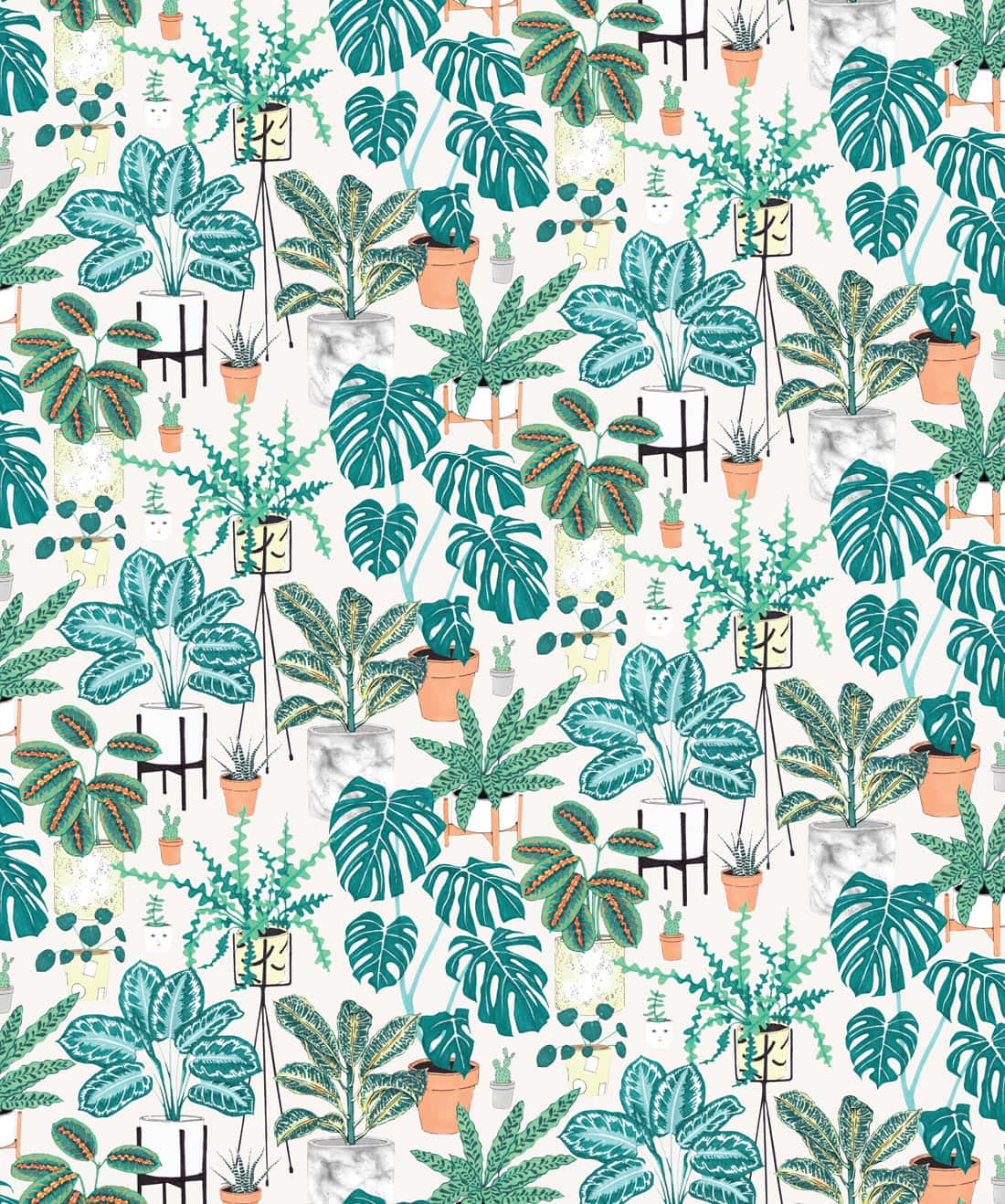 Shrubs, tropical houseplants, terracotta pots, HD Phone Wallpaper