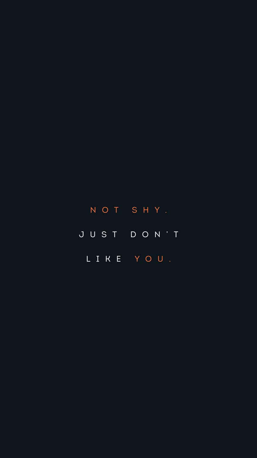 NOT SHY, white and orange, black background, HD Phone Wallpaper
