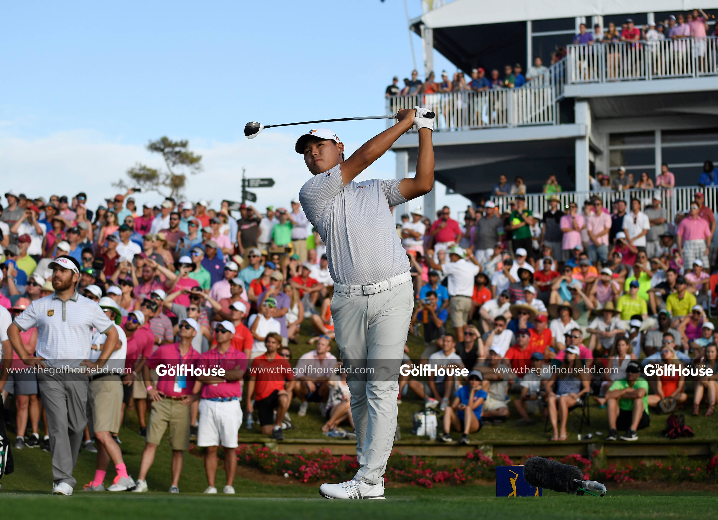 Si Woo Kim, golf stance, sunny day, 2K Desktop Wallpaper