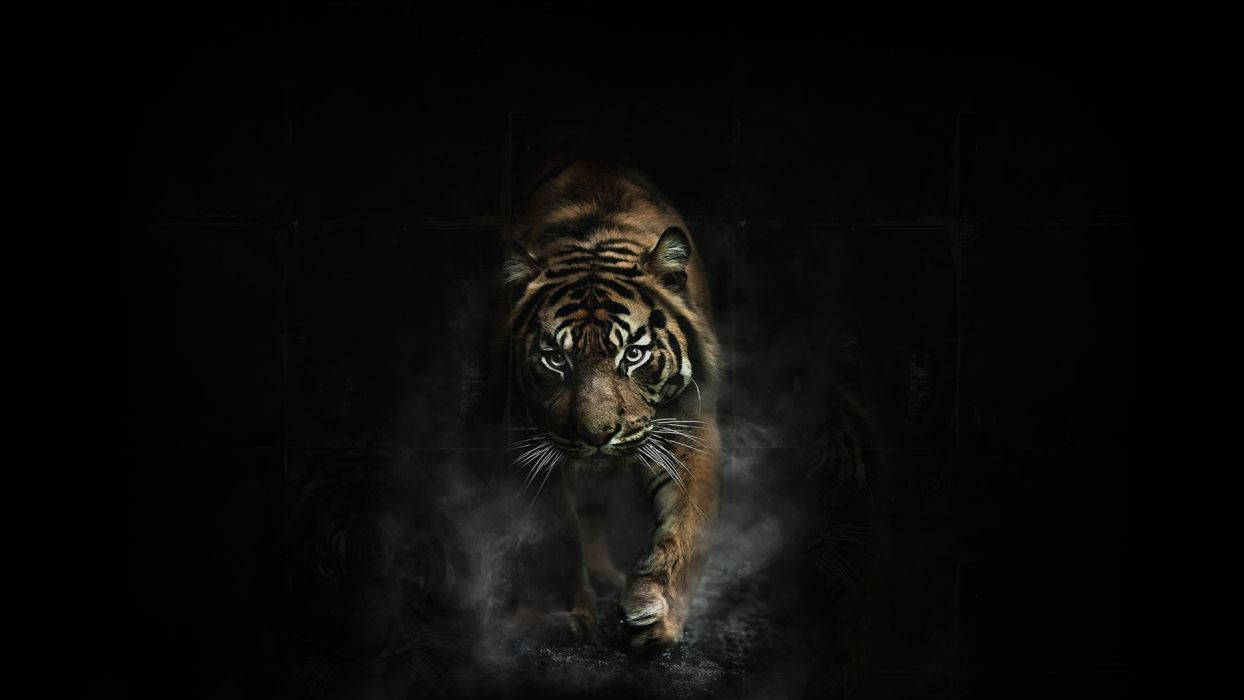 Siberian Tiger, glowing eyes, dark mist, SD Desktop Wallpaper