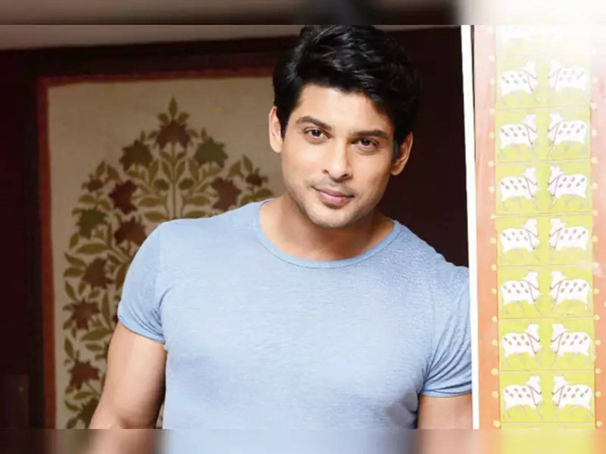 Sidharth Shukla, light blue t-shirt, patterned wall, SD Desktop Wallpaper