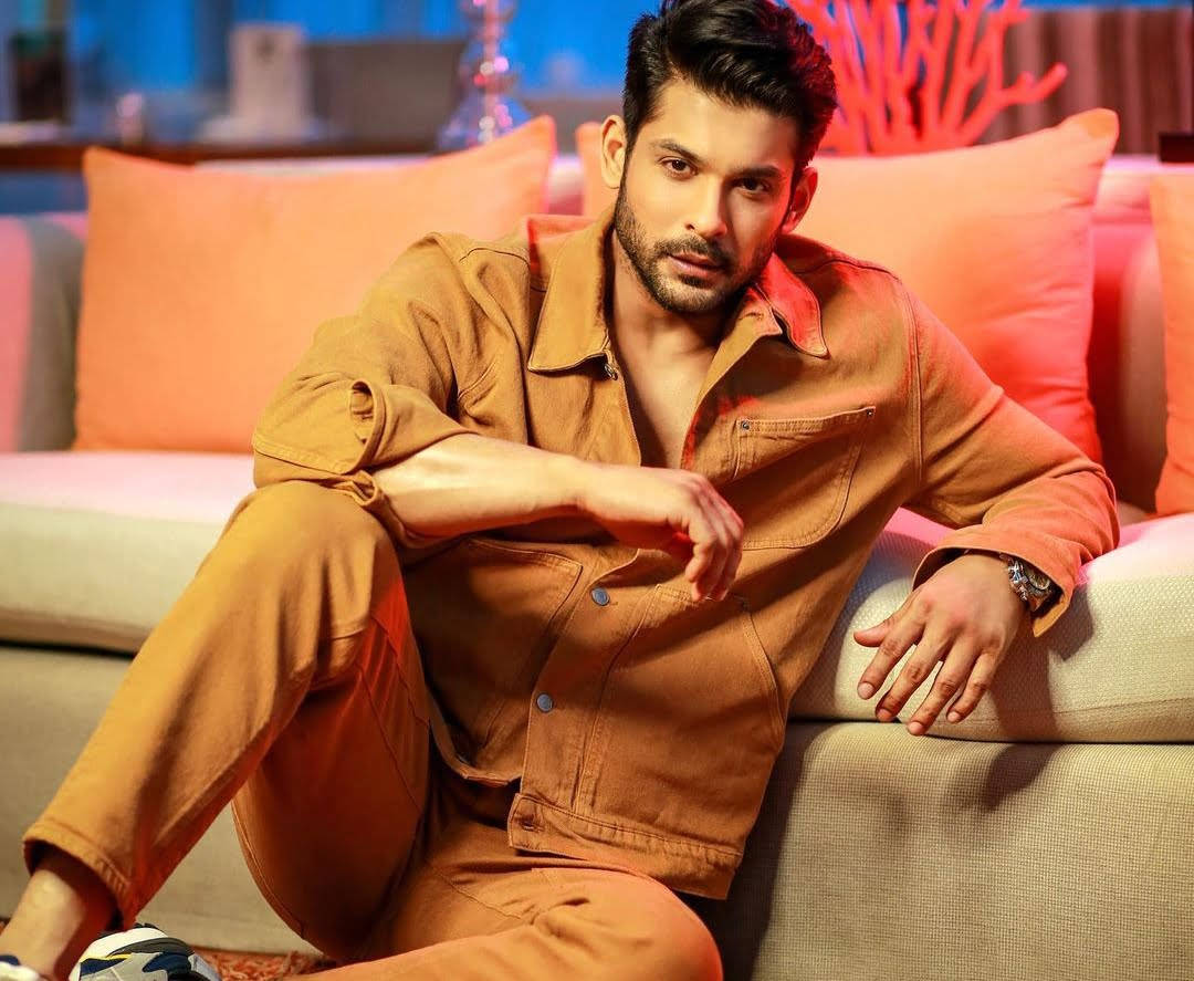 Sidharth Shukla, bronze outfit, sofa, SD Desktop Wallpaper