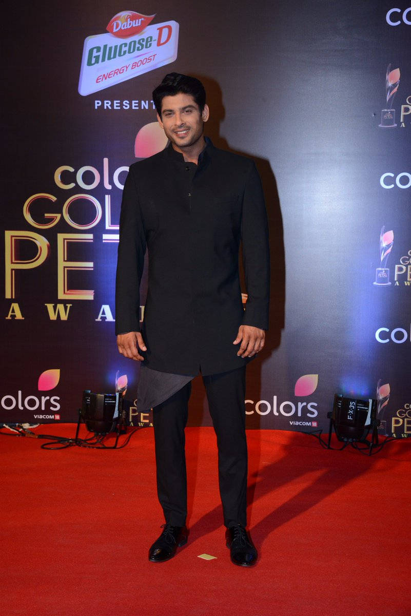 Sidharth Shukla, red carpet, Colors Gold Pet Awards, SD Phone Wallpaper