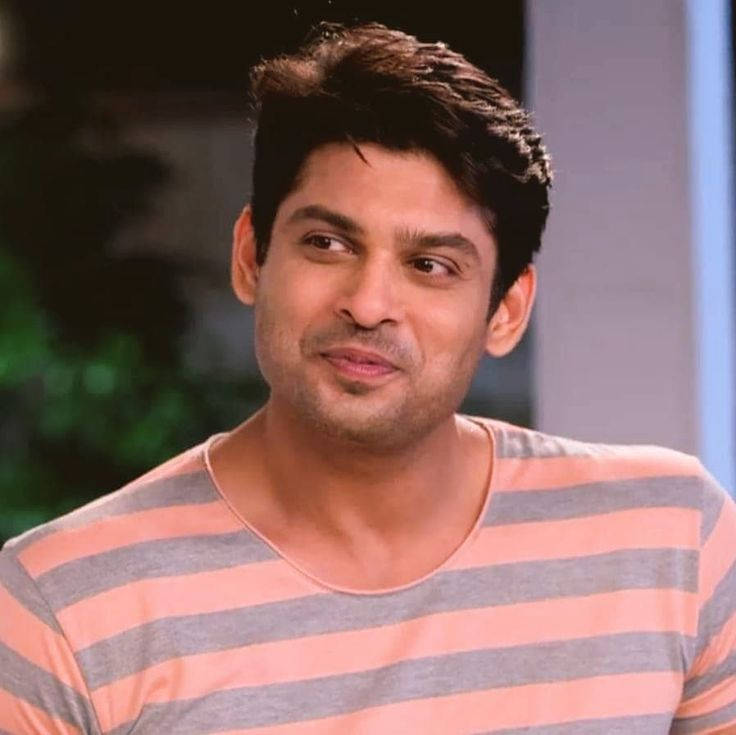 Sidharth Shukla, peach and gray striped shirt, blurred indoor background, SD Desktop Wallpaper