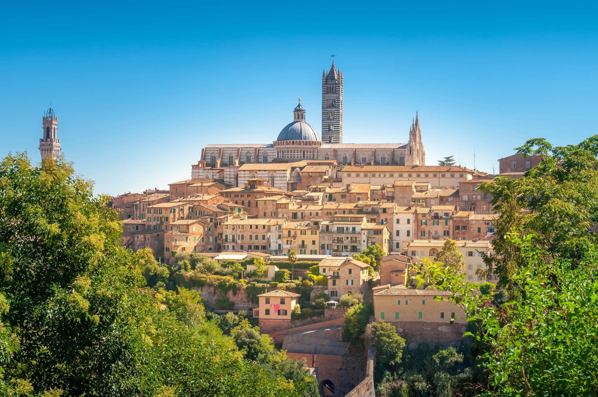Siena Cathedral, medieval buildings, sunlit hillside town, Full HD Desktop Wallpaper