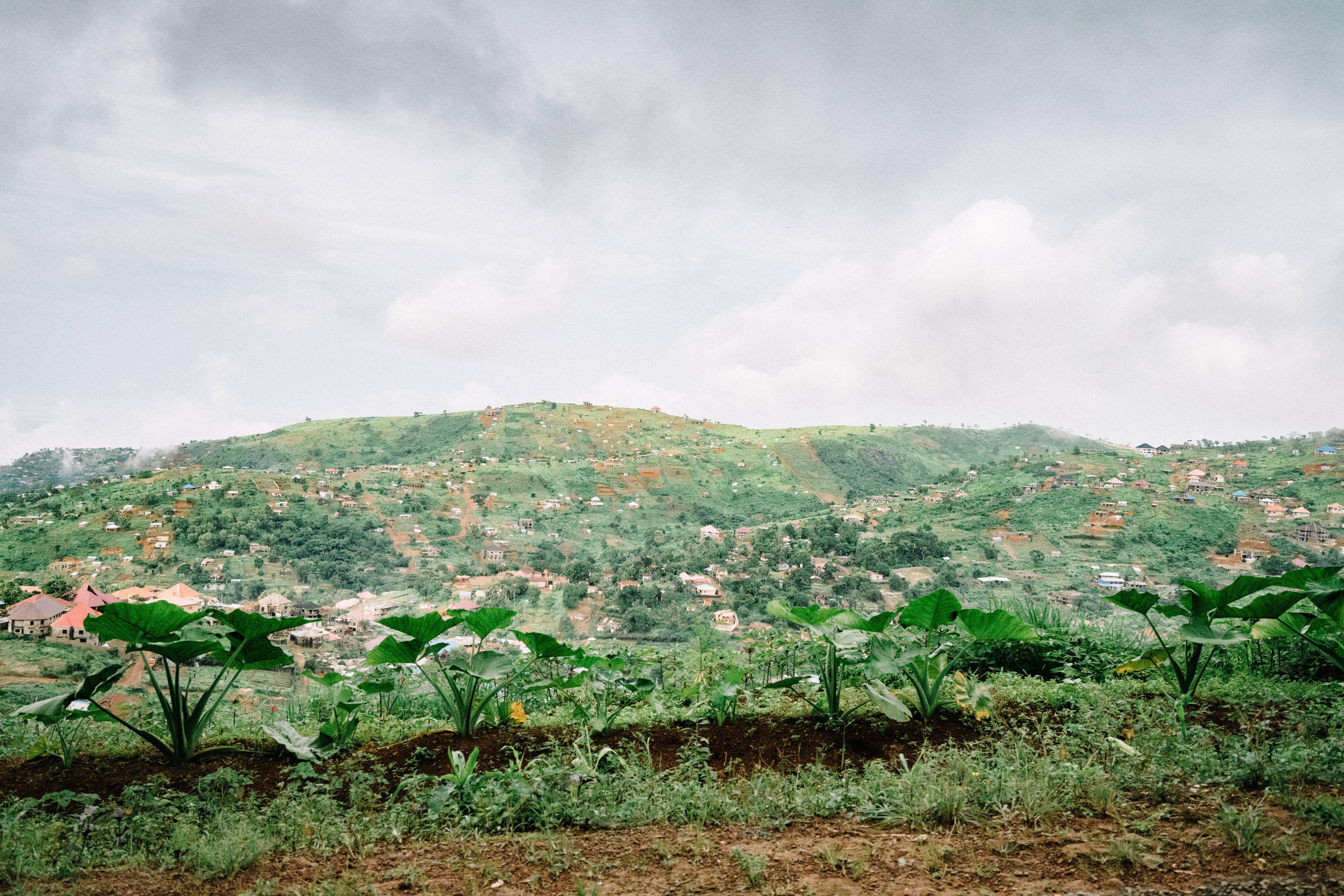 grassy green hill, Sierra Leone, misty hillside village, 5K Desktop Wallpaper