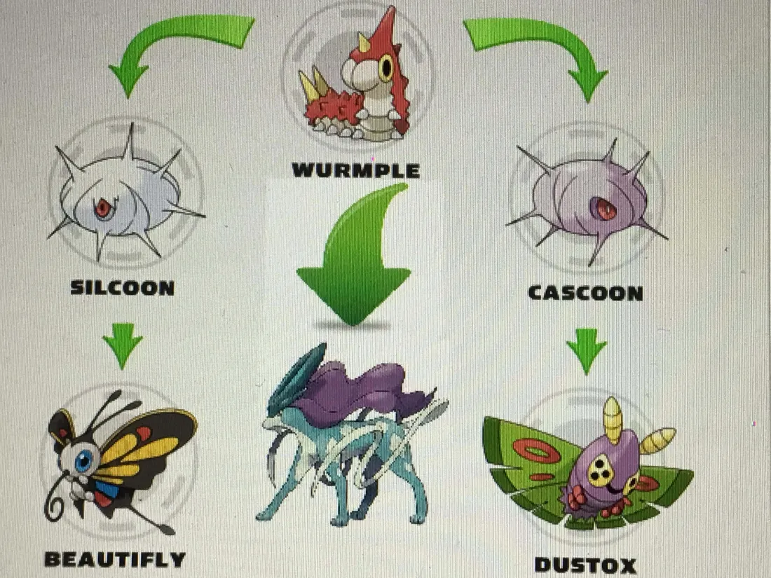 Silcoon