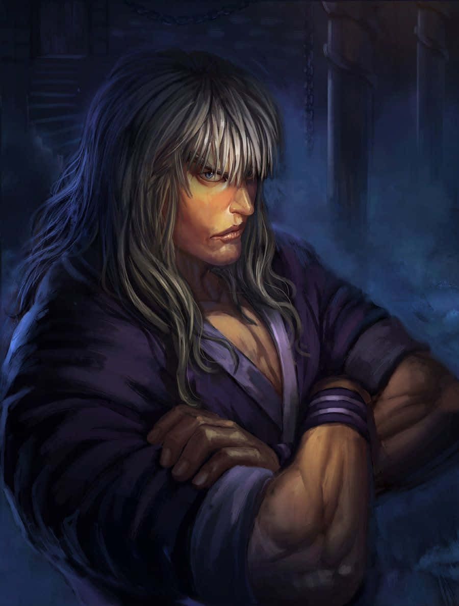 Silva Zoldyck, silver hair, purple robes, SD Phone Wallpaper