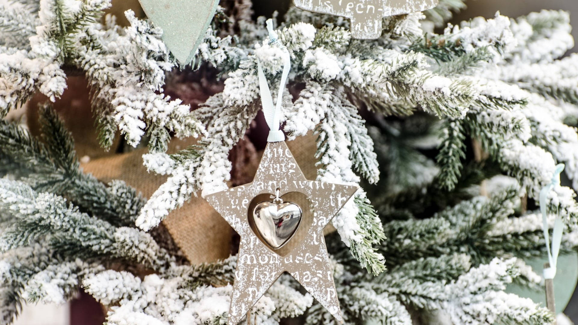macro silver glitter ornaments, snowy fir tree branch, rustic star ornament, Full HD Desktop Wallpaper