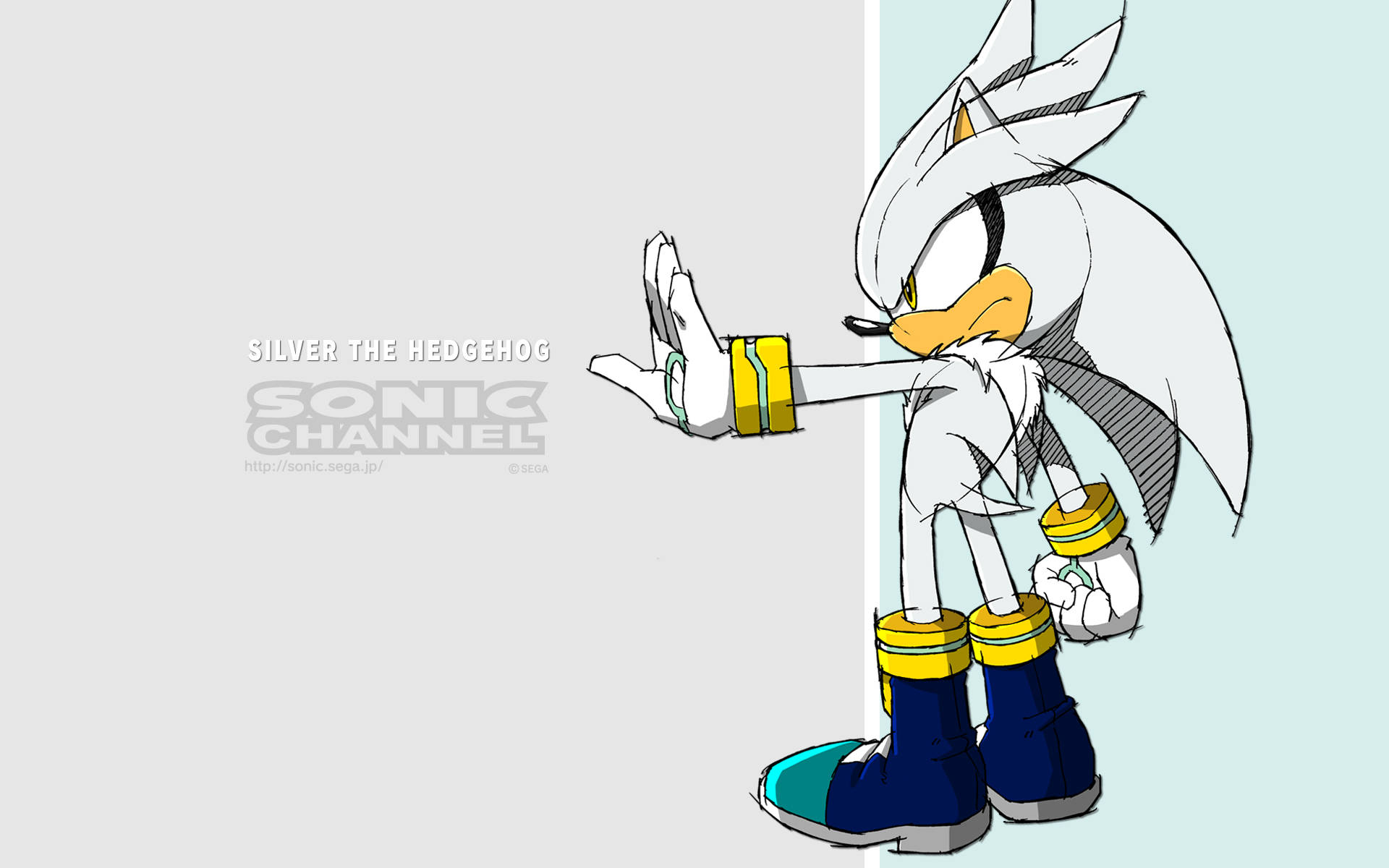 Silver The Hedgehog, gray, mint, Full HD Desktop Wallpaper