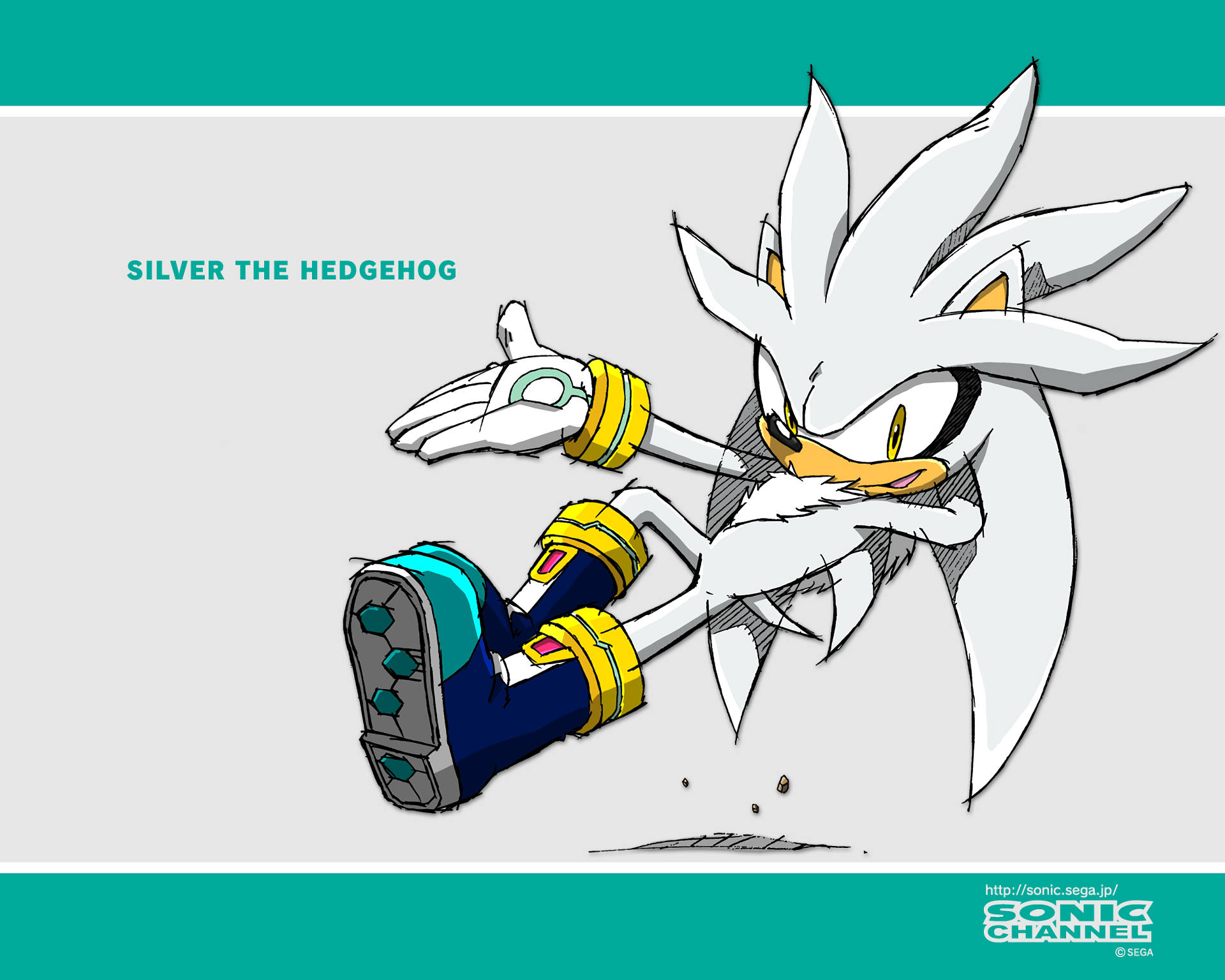 Silver the Hedgehog, white quills, yellow eyes, Full HD Desktop Wallpaper