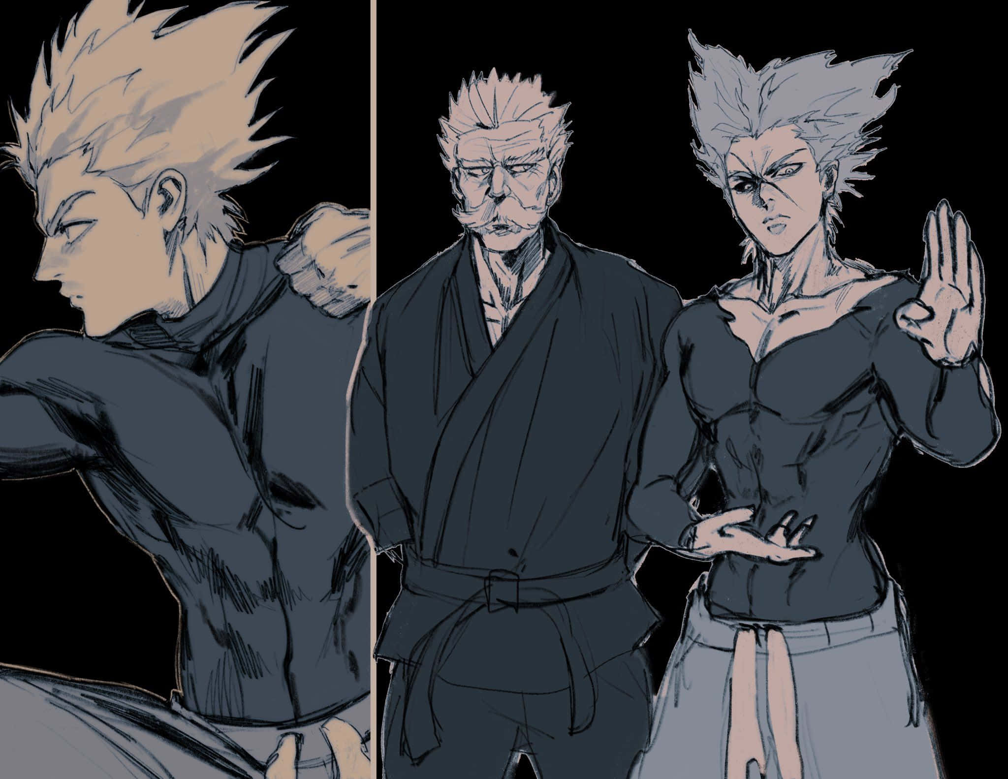 Silverfang, anime characters, spiky hair, Full HD Desktop Wallpaper