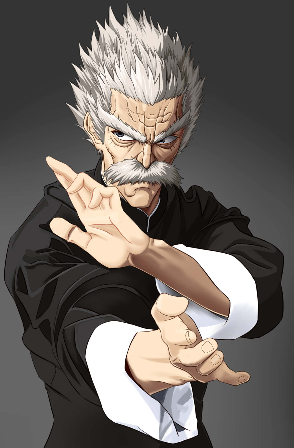 Silverfang, anime-style elderly martial artist, spiky white hair, HD Phone Wallpaper