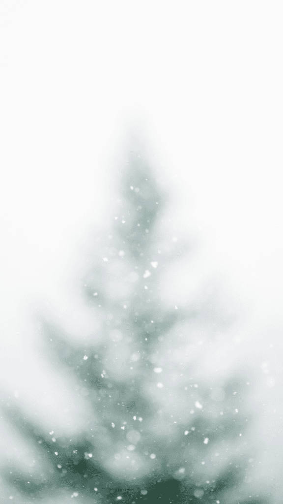 evergreen tree, snowy winter scene, gentle falling snowflakes, SD Phone Wallpaper