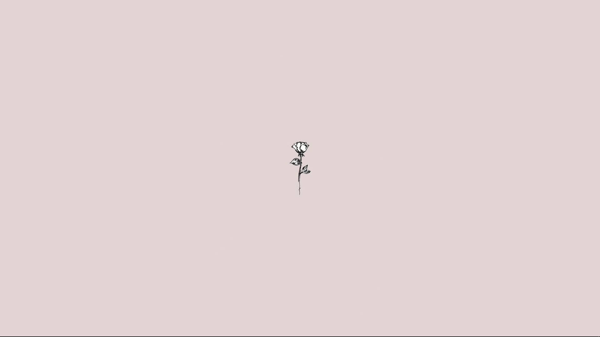 Simple Aesthetic, rose, black line drawing, Full HD Desktop Wallpaper