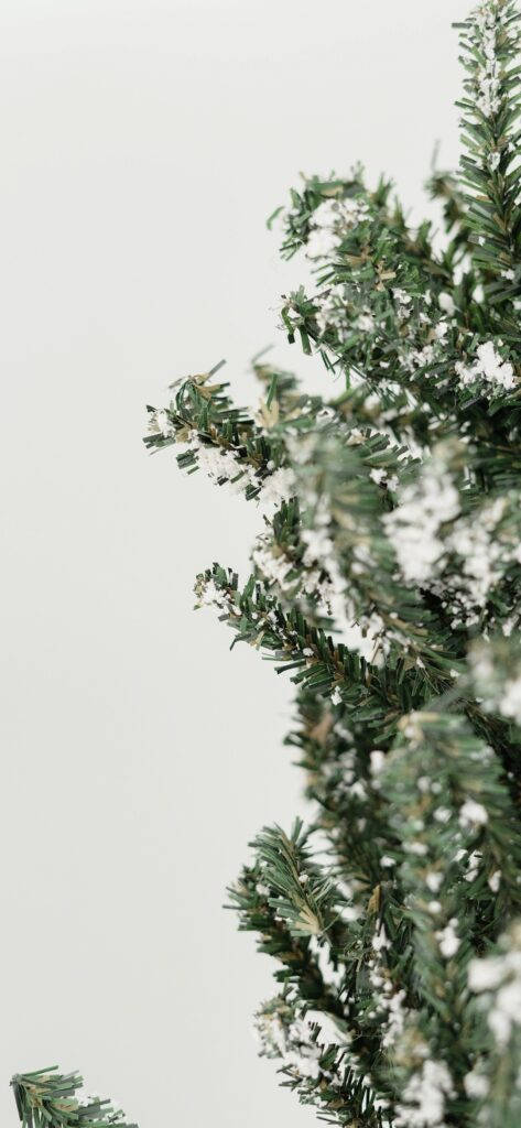 simple christmas pine branches, minimalistic christmas pine branches, snow-dusted evergreen branches, SD Phone Wallpaper