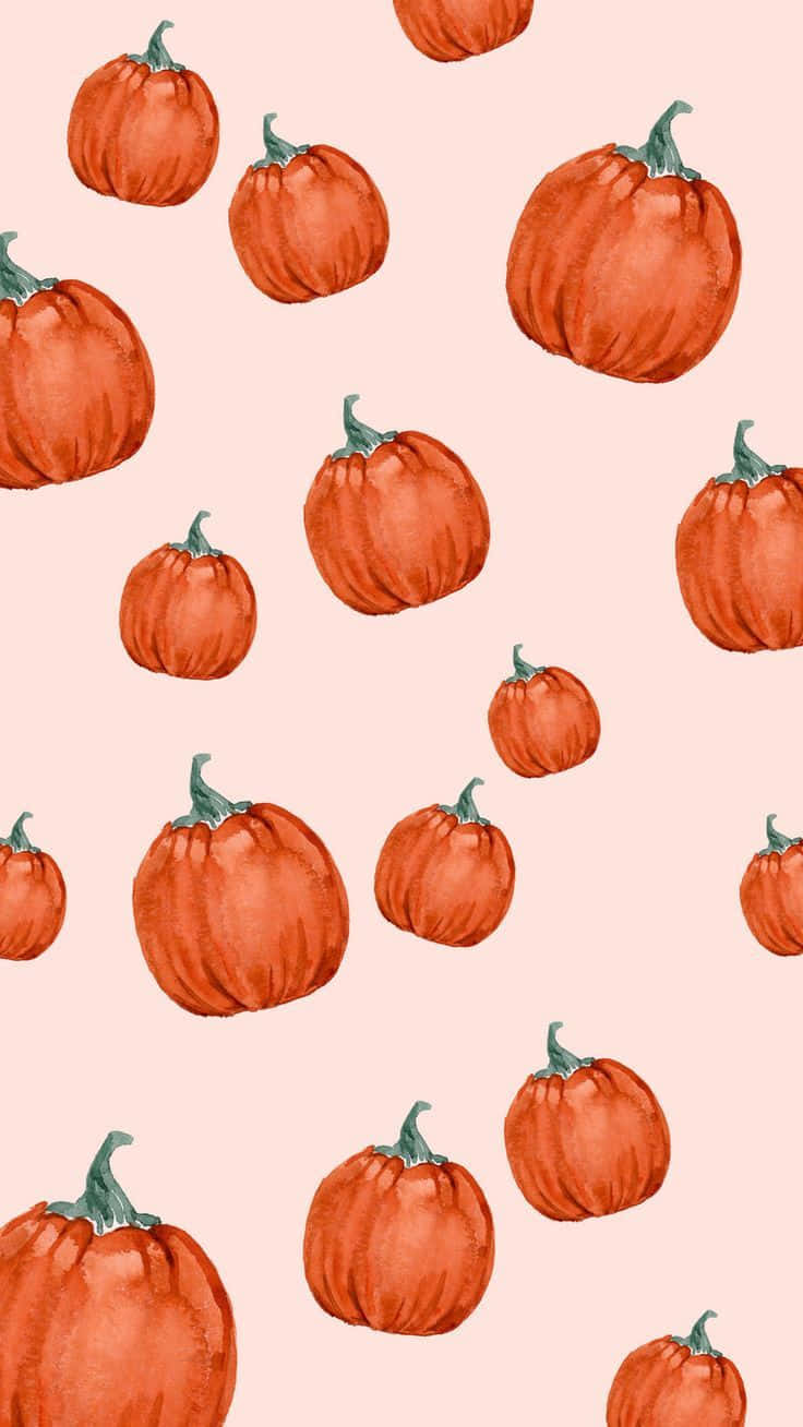 watercolor pumpkins, warm orange tones, soft blush background, HD Phone Wallpaper