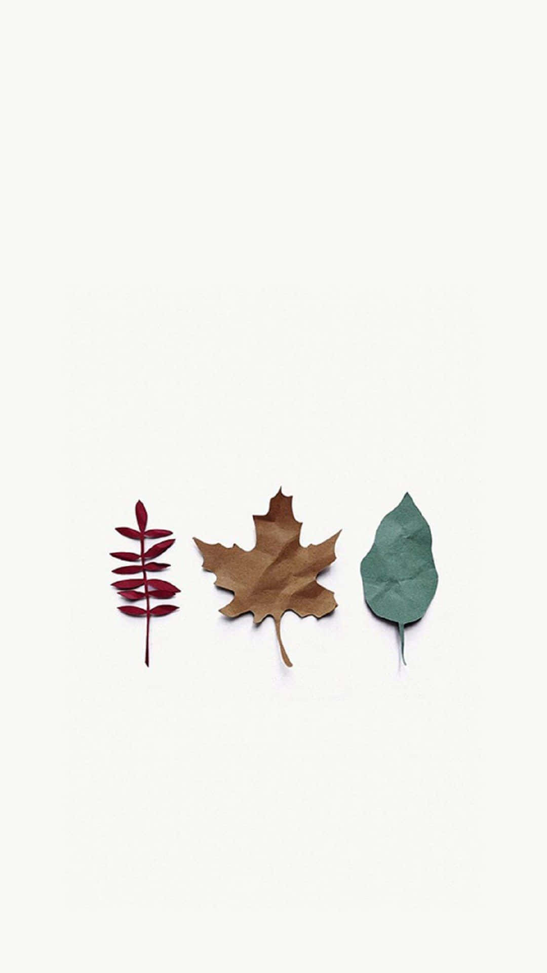 Simple Autumn, iPhone Screen Theme, red brown, Full HD Phone Wallpaper