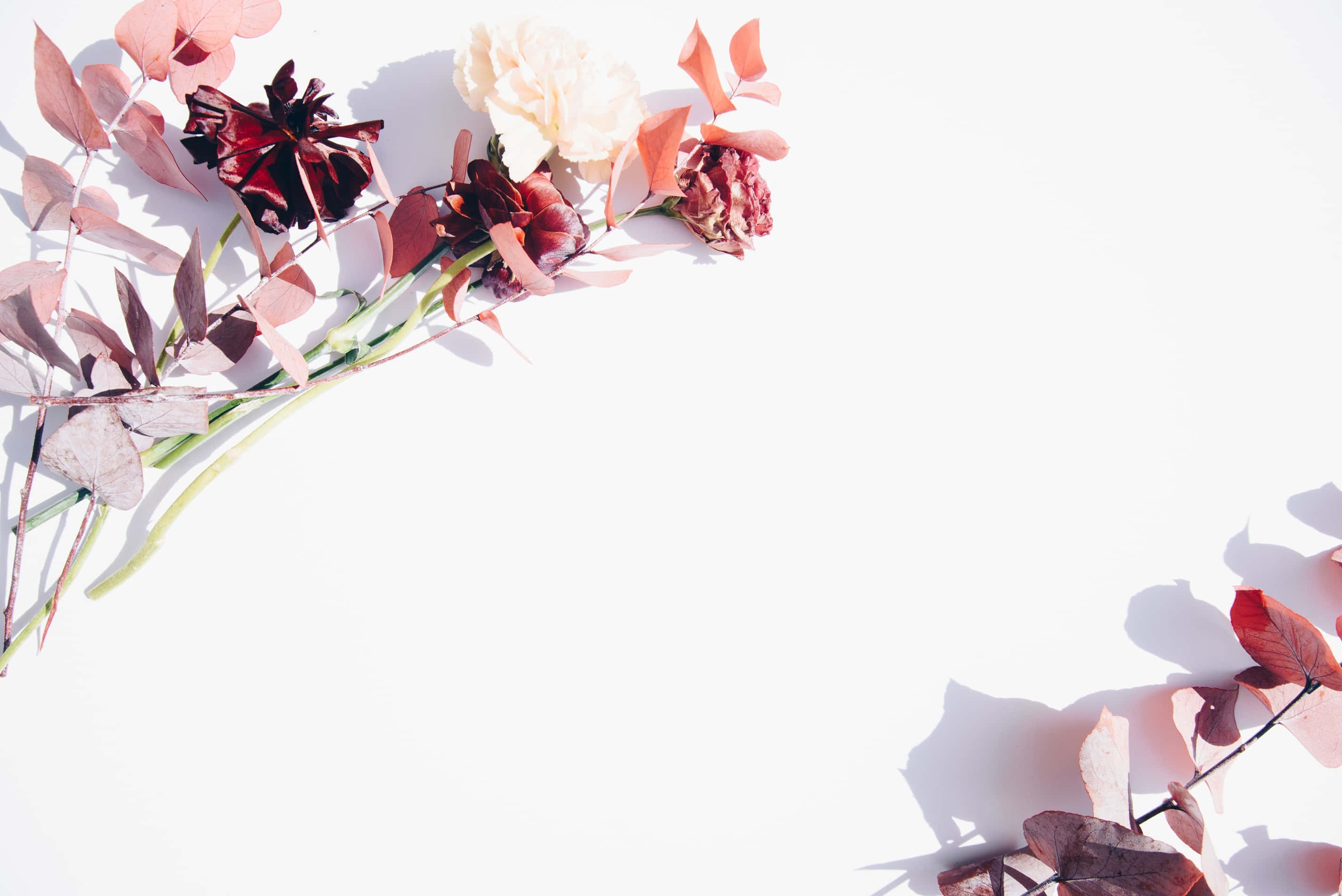 Simple Autumn, deep reds, creams, 2K Desktop Wallpaper