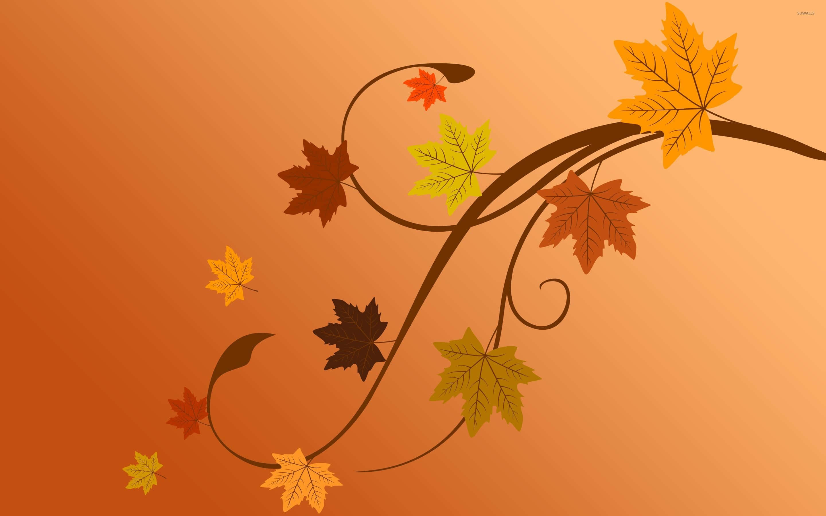 Simple Autumn, iPhone Screen Theme, autumn leaf vine, 2K Desktop Wallpaper