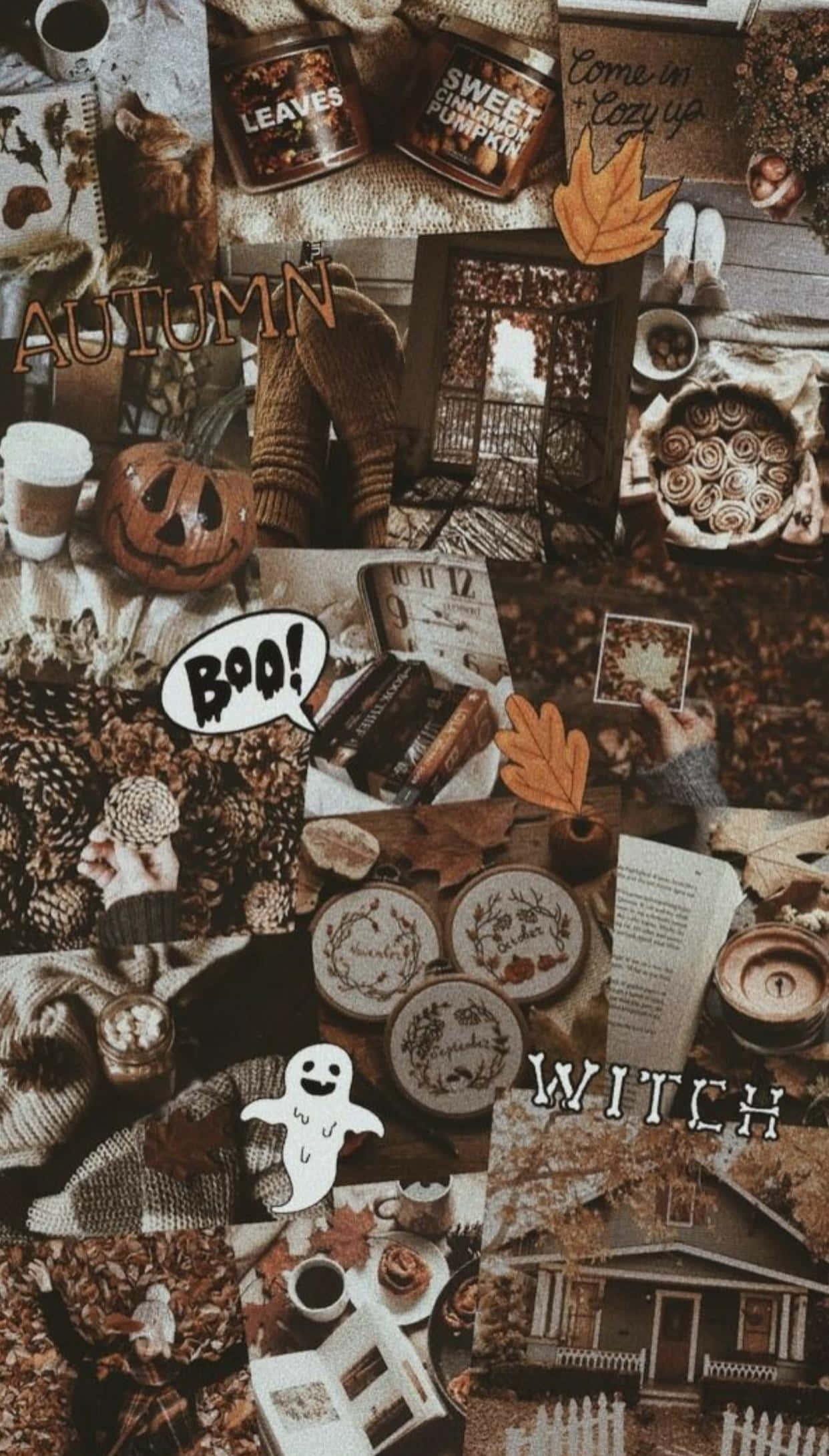 autumn collage, pumpkins, pinecones, Full HD Phone Wallpaper