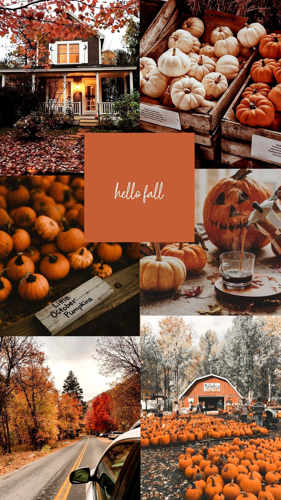 Cute Autumn Season Collage, pumpkins, harvest scenes, Full HD Phone Wallpaper