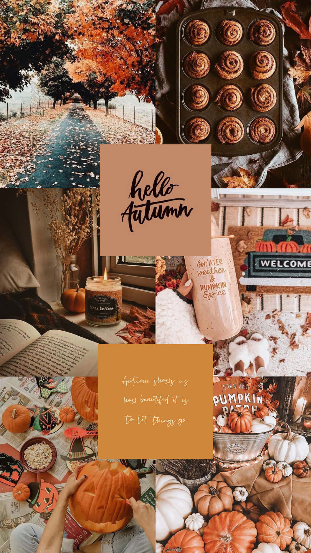 autumn collage, pumpkins, cinnamon rolls, Full HD Phone Wallpaper