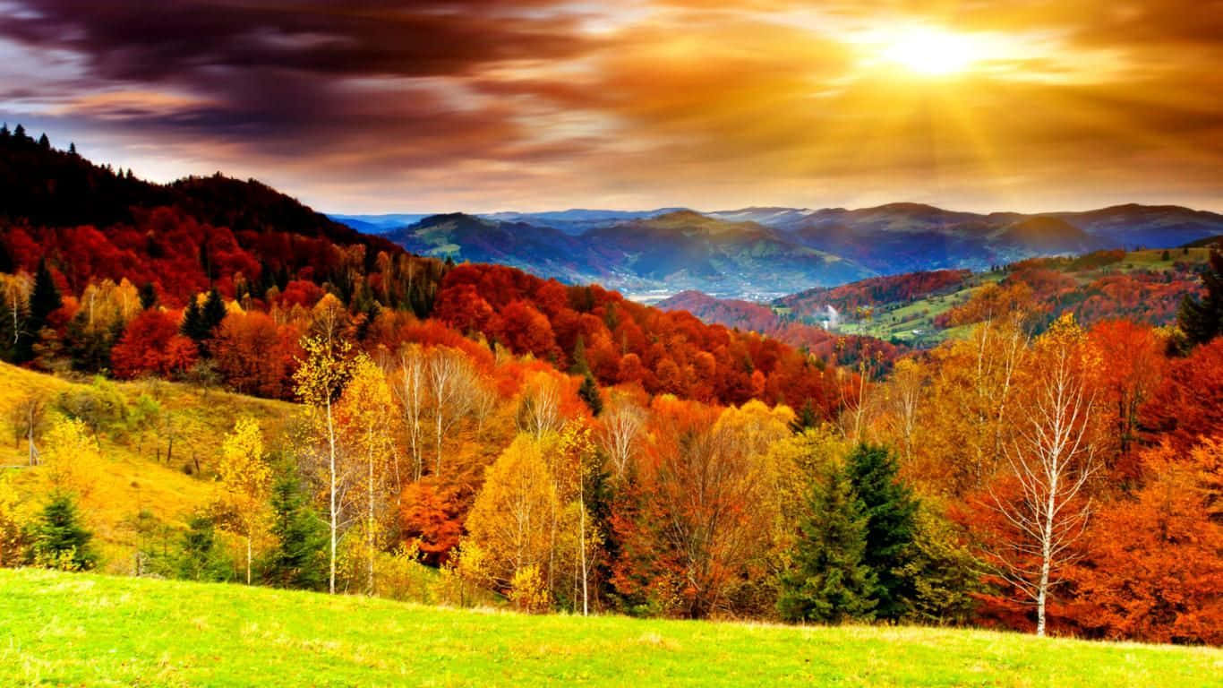 autumn forest, rolling hills, golden sunset sky, HD Desktop Wallpaper