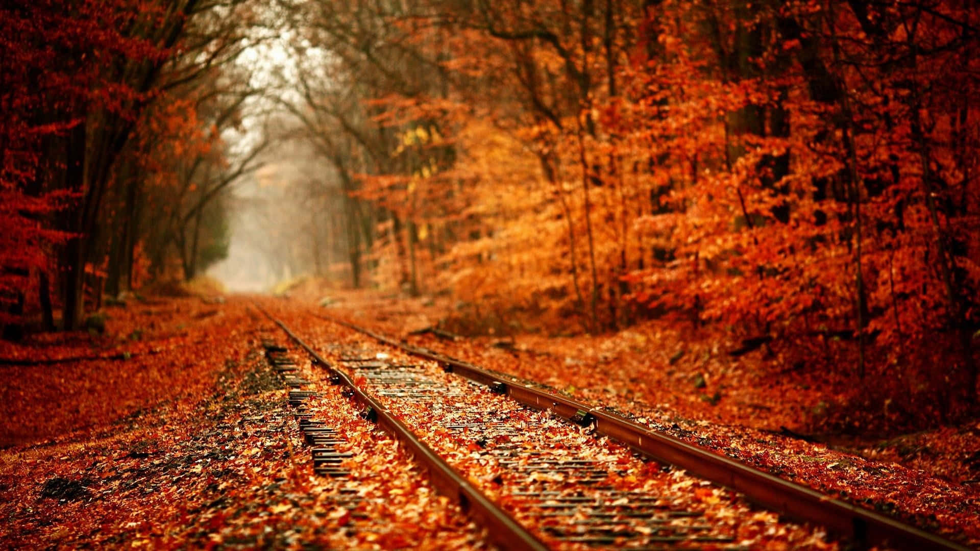 autumn wind, 1920 x 1080, railway track, Full HD Desktop Wallpaper