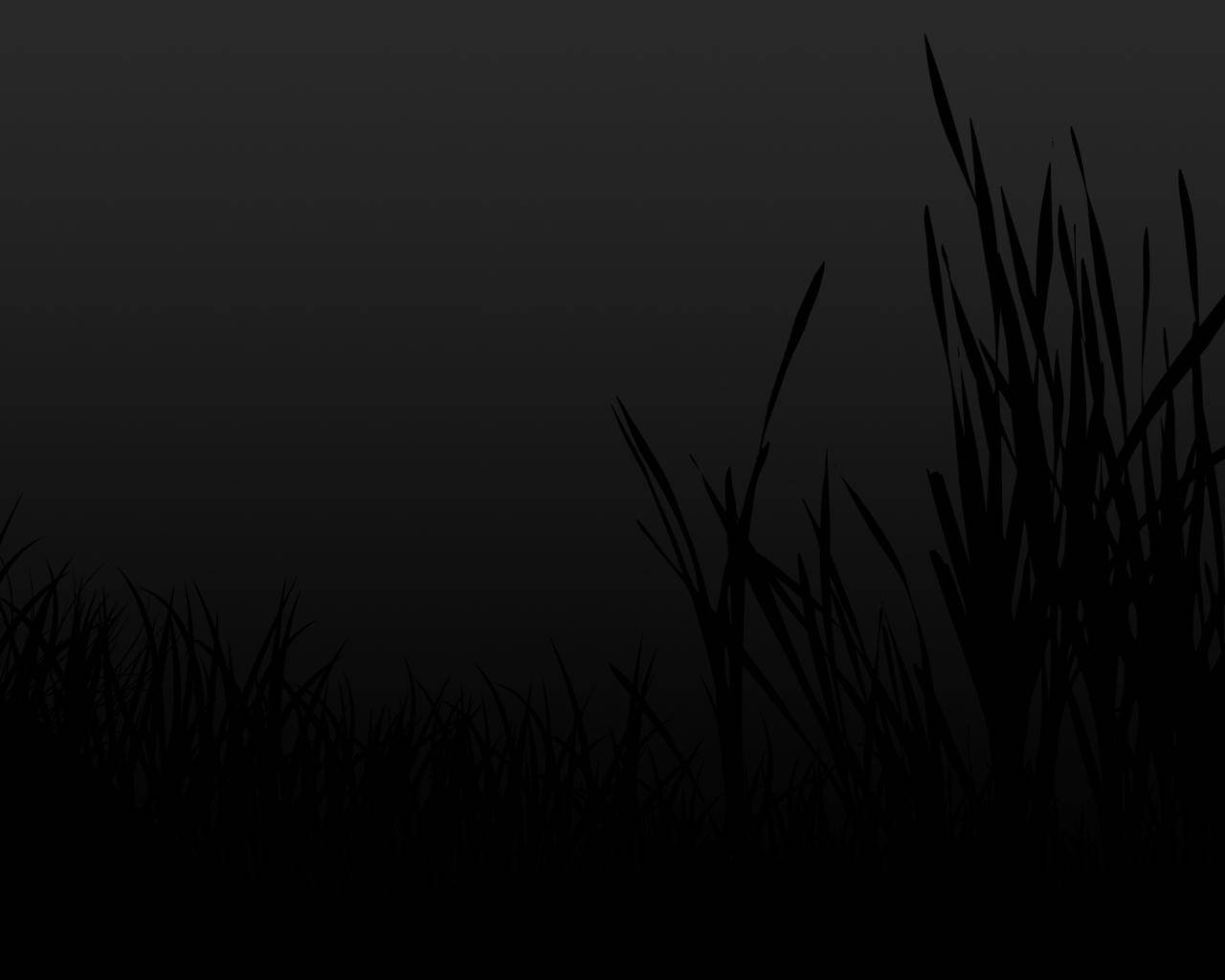 plain black grass pattern, silhouetted grass blades, gradient dark gray sky, HD Desktop Wallpaper