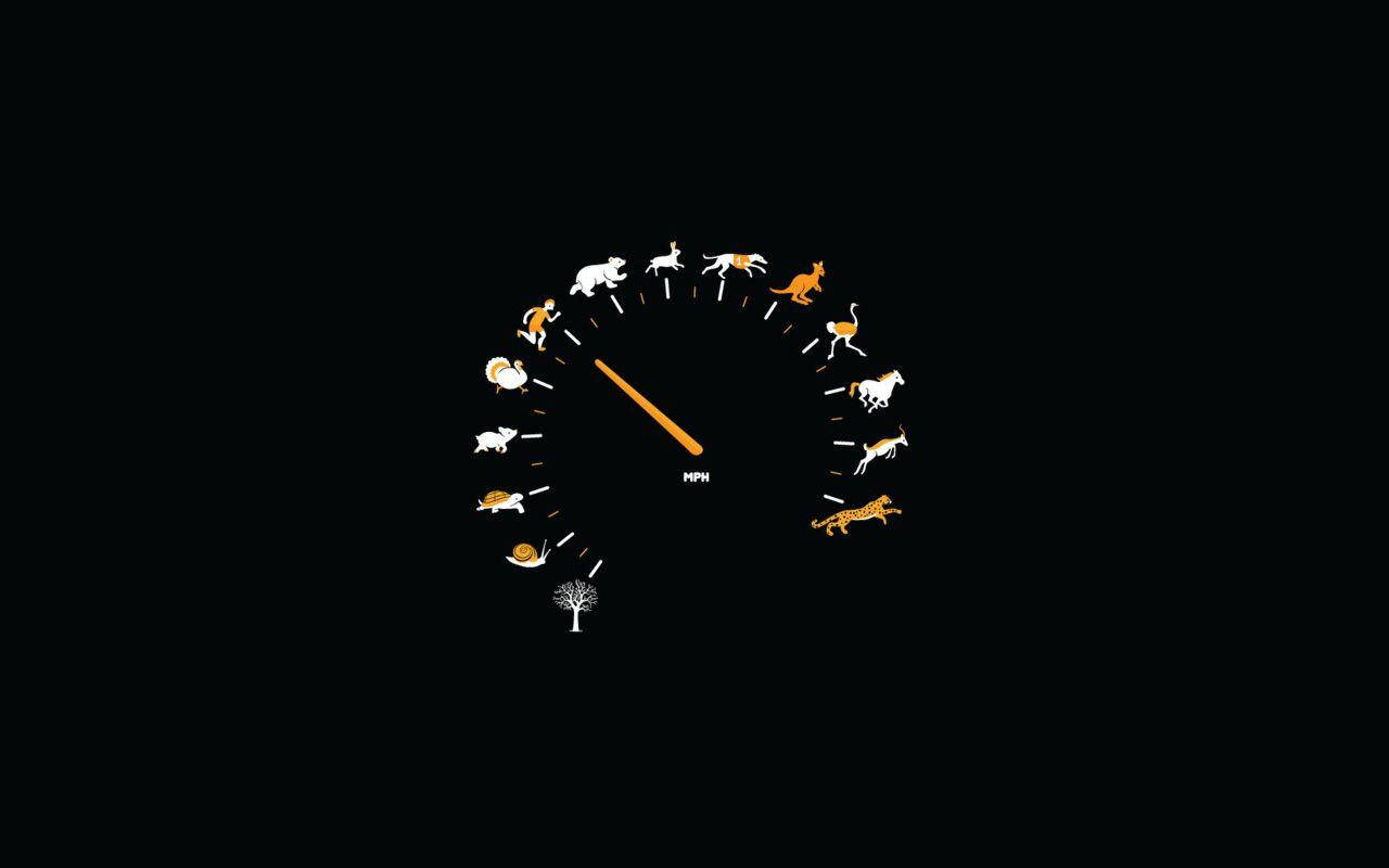 Simple Black Speedometer, animal silhouettes, mph, HD Desktop Wallpaper