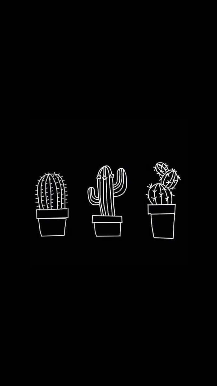 Simple Black, cactus, white line drawings, SD Phone Wallpaper