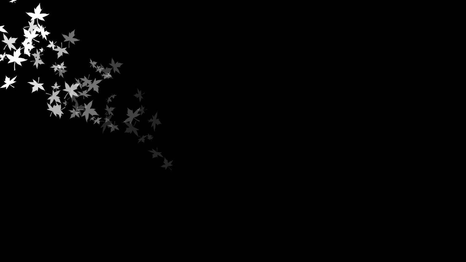 Simple Black, white maple leaves, stark black background, HD Desktop Wallpaper