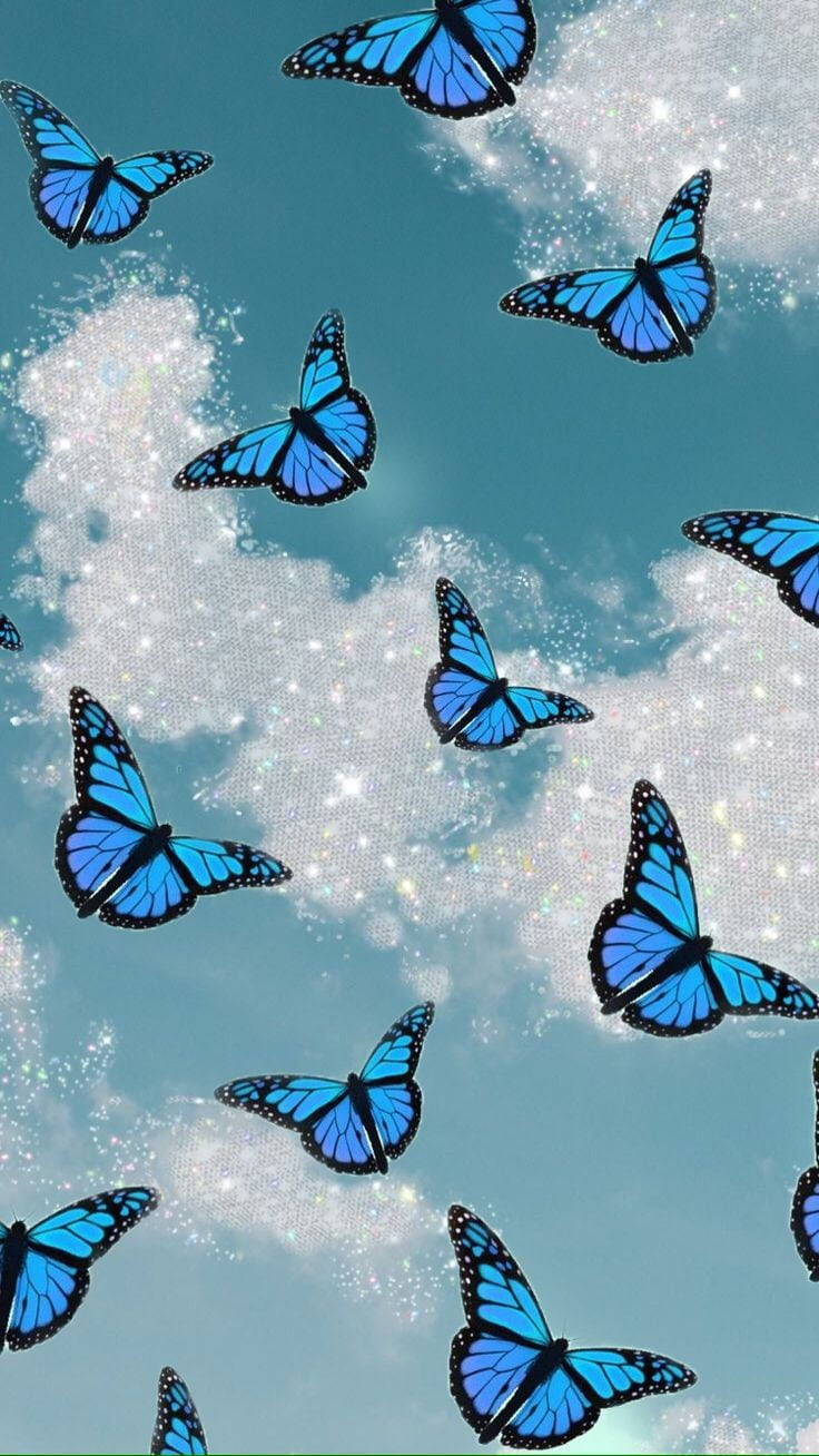 Simple Blue Aesthetic, butterflies, vibrant blue, HD Phone Wallpaper