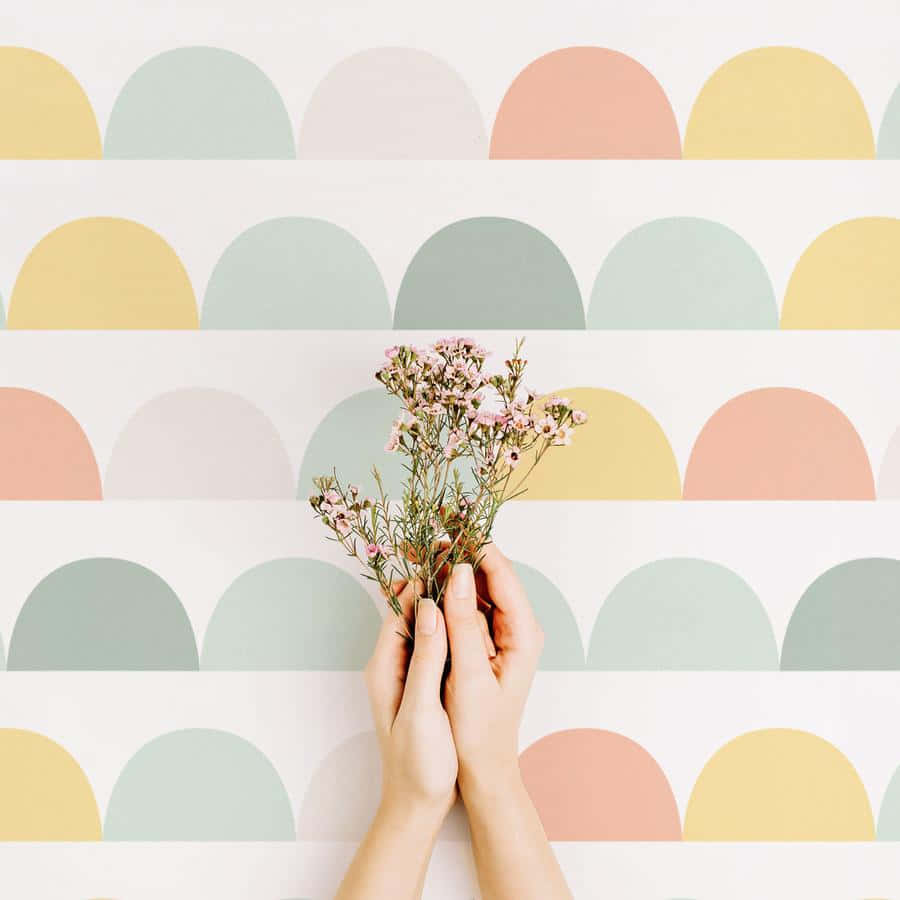 boho pastel, pink baby's breath, pastel scalloped wallpaper pattern, SD Desktop Wallpaper
