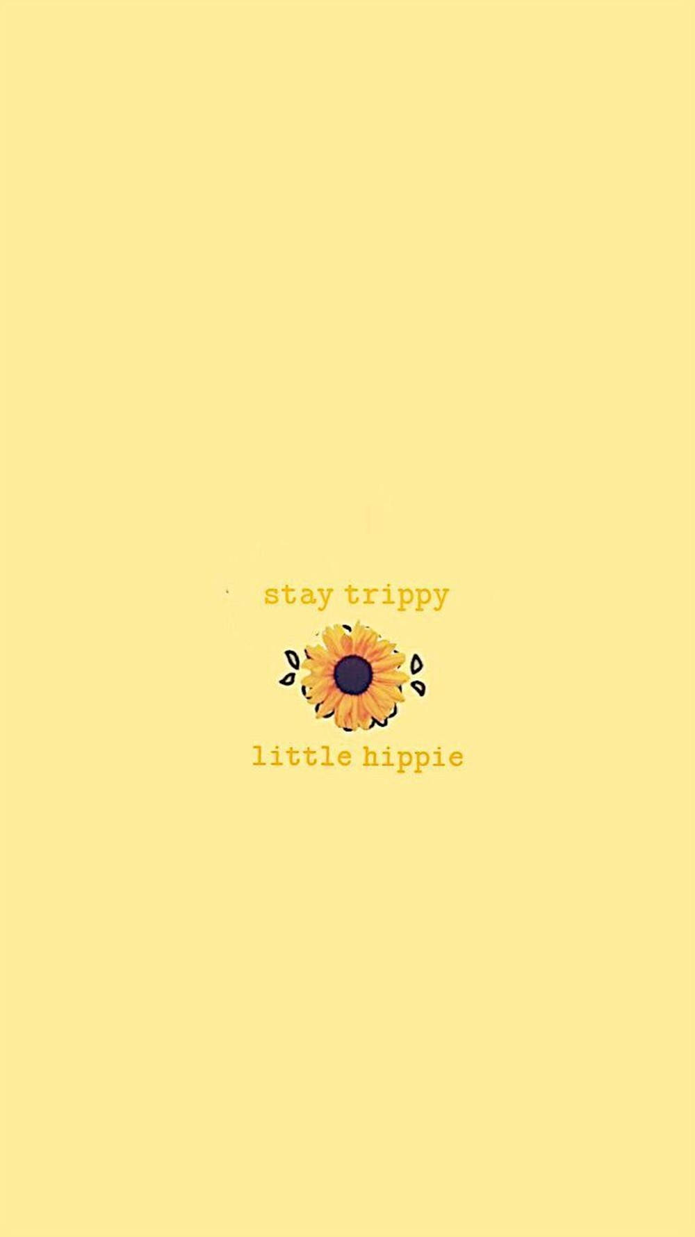Simple Boho, sunflower, minimalist yellow background, HD Phone Wallpaper