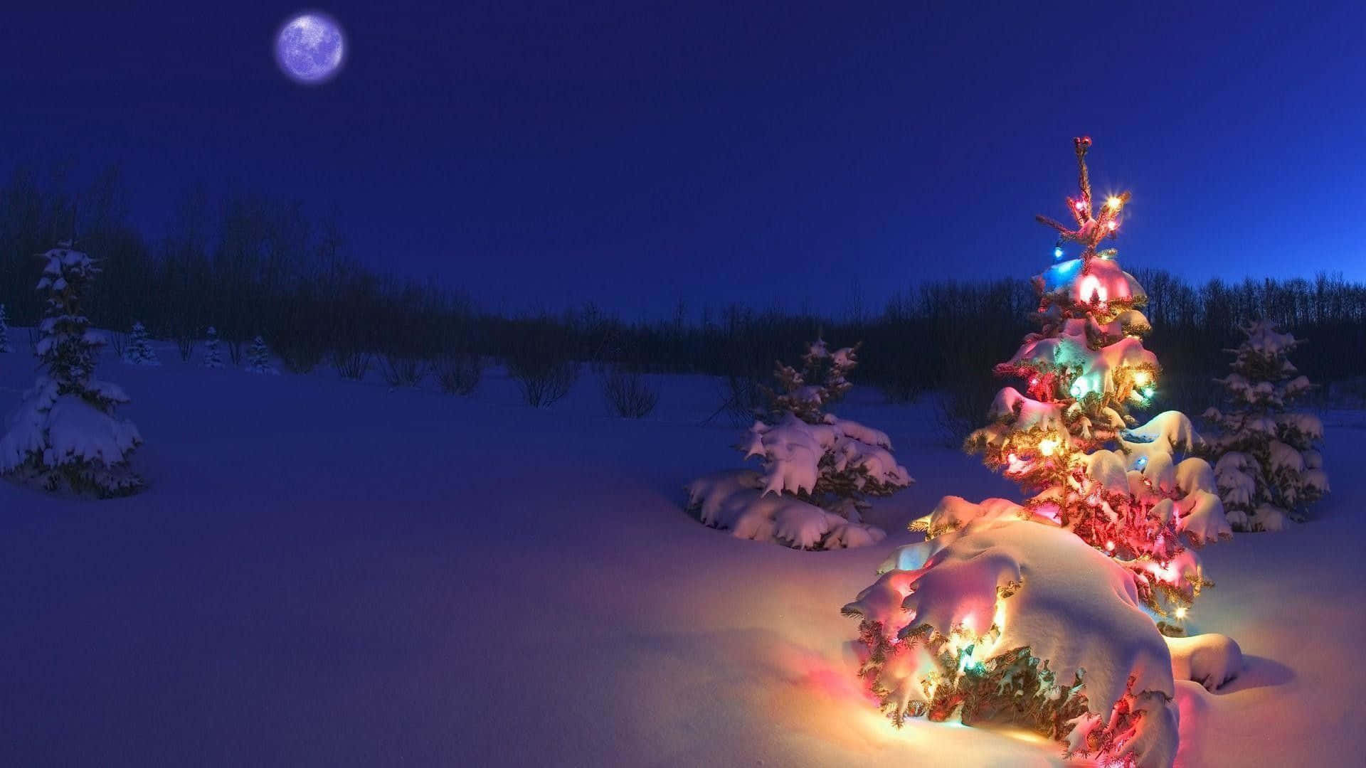Simple Christmas iPad, snow-covered evergreen tree, colorful lights, Full HD Desktop Wallpaper