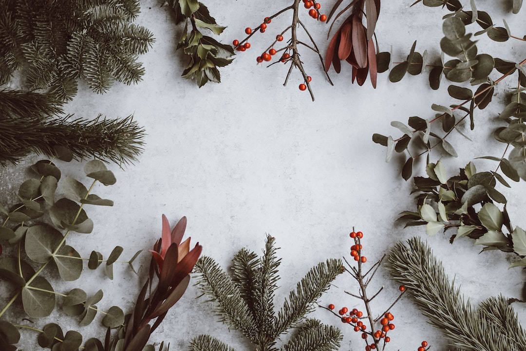 Simple Christmas, evergreen branches, eucalyptus, SD Desktop Wallpaper