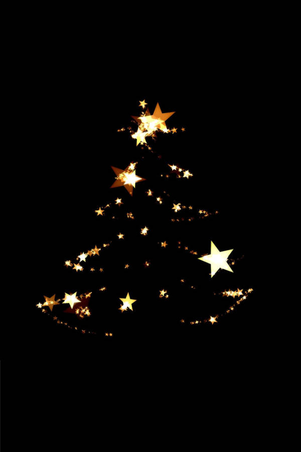 Simple Christmas Tree Lights, glowing golden star, tree silhouette, SD Phone Wallpaper
